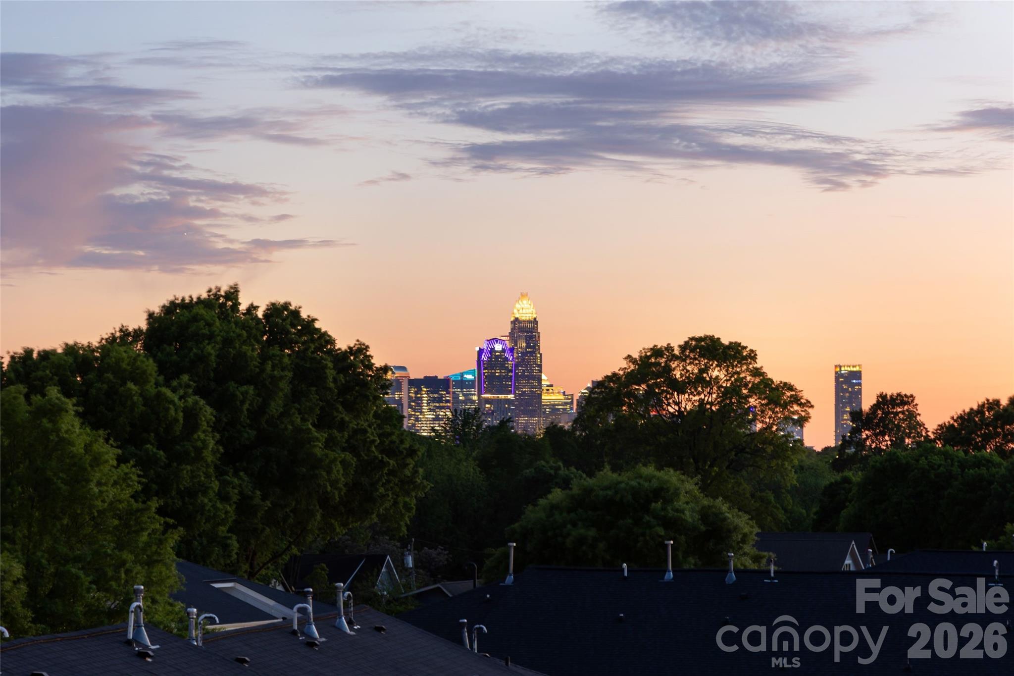 3630 N Davidson Street #4407 — Charlotte