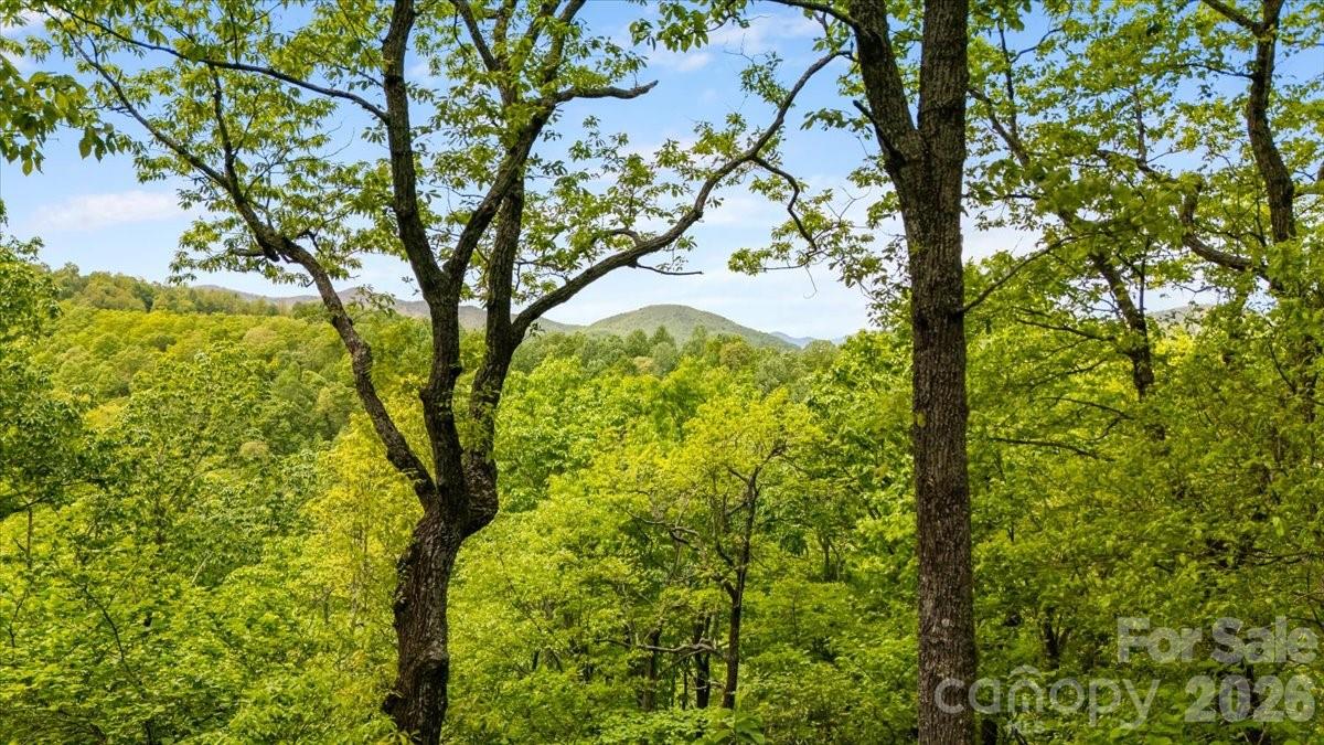 100 Gold Creek Crossing — Black Mountain