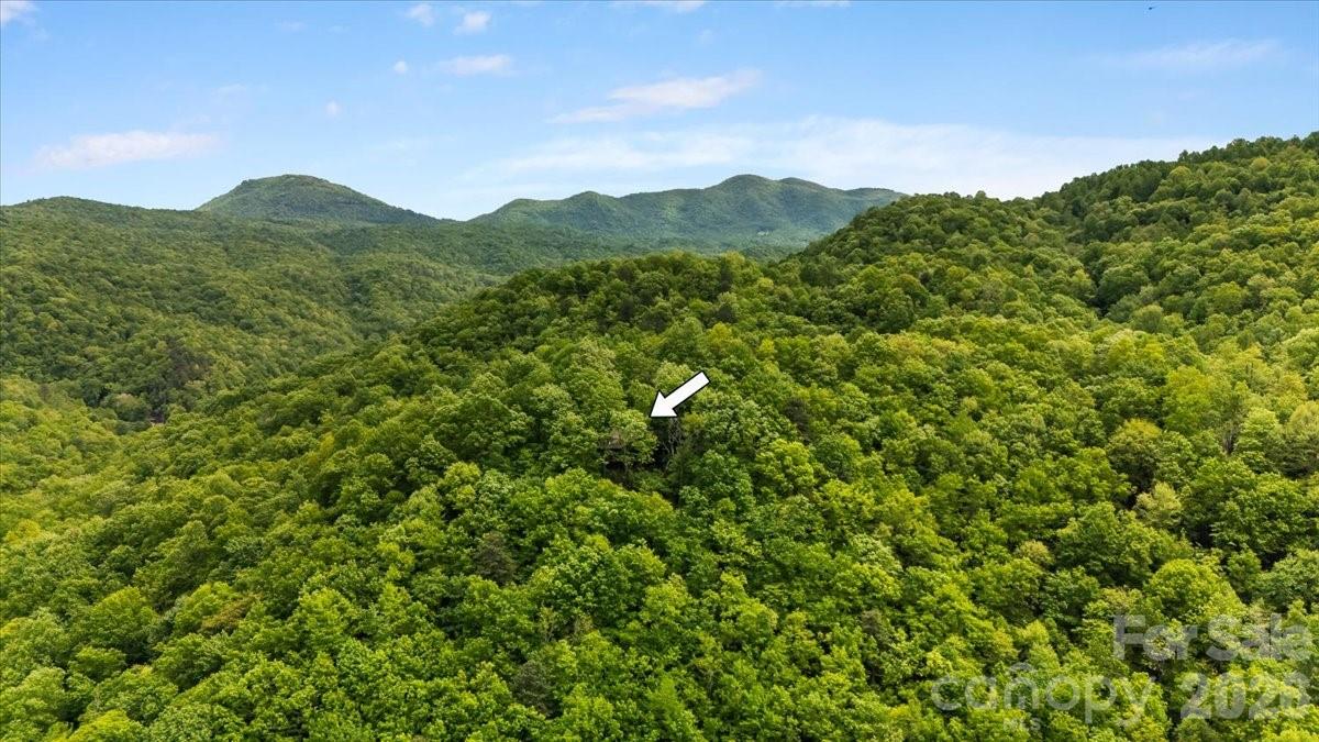 100 Gold Creek Crossing — Black Mountain
