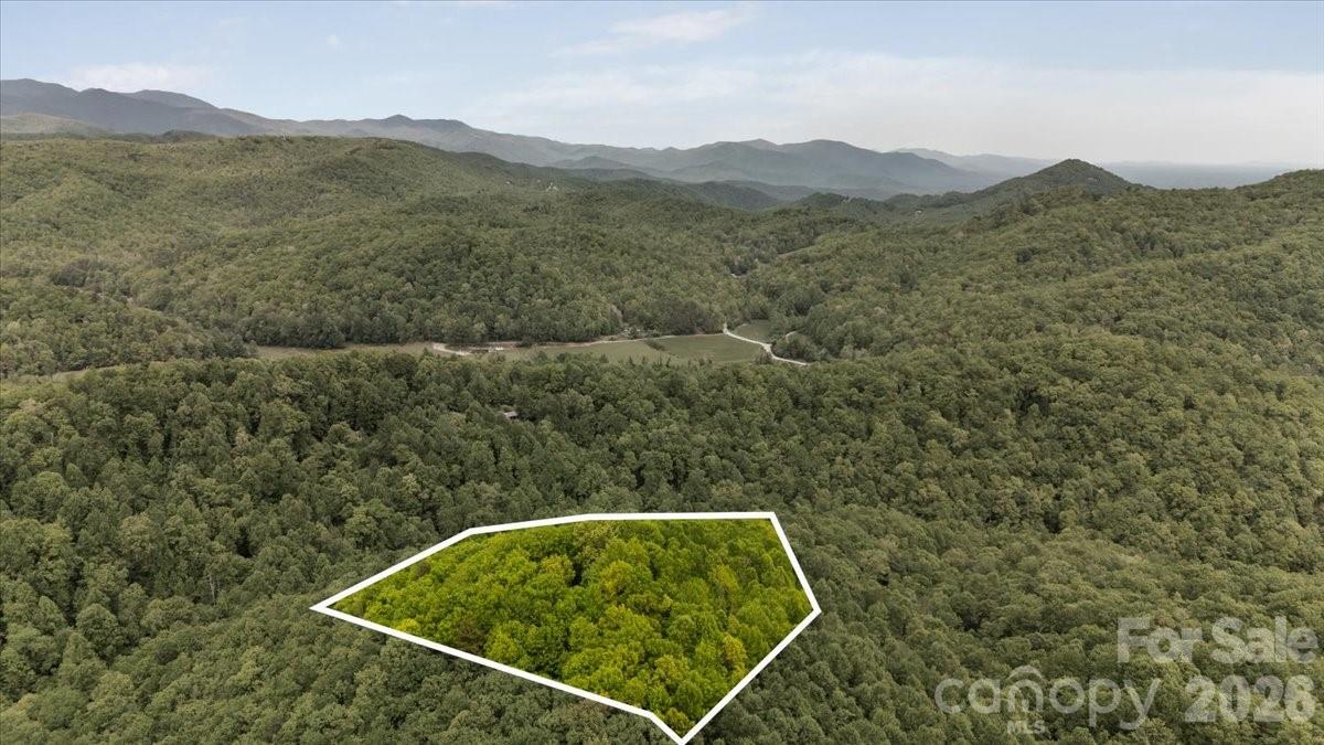 100 Gold Creek Crossing — Black Mountain