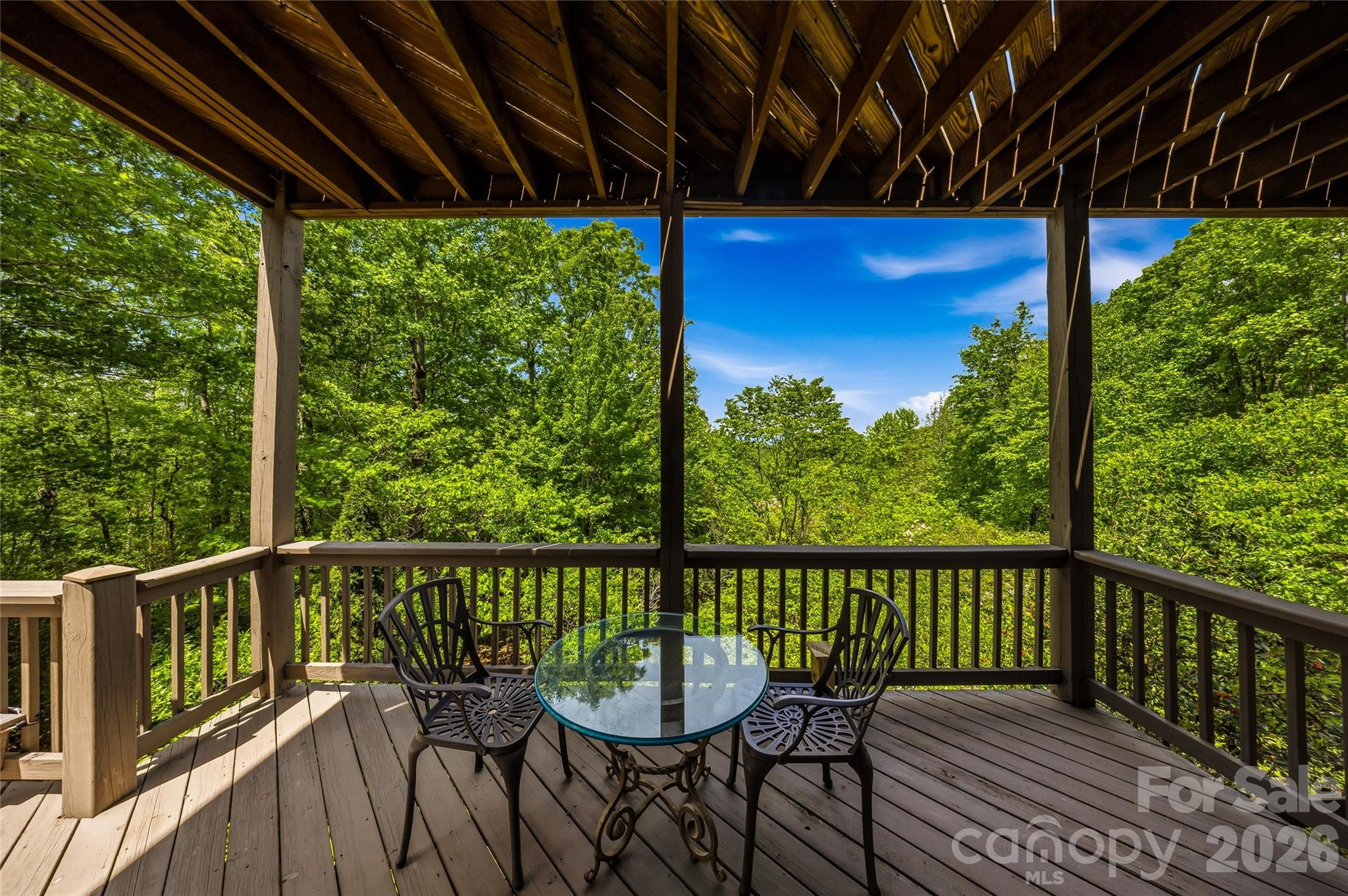 135 Crossvine Trail — Hendersonville
