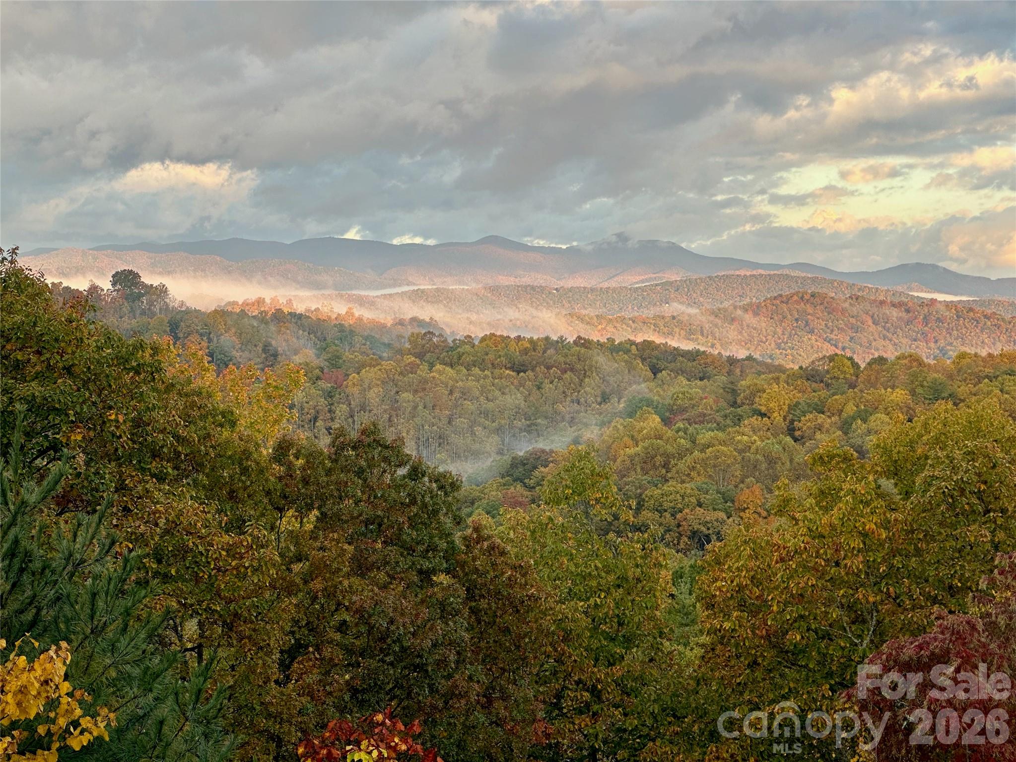 135 Crossvine Trail — Hendersonville
