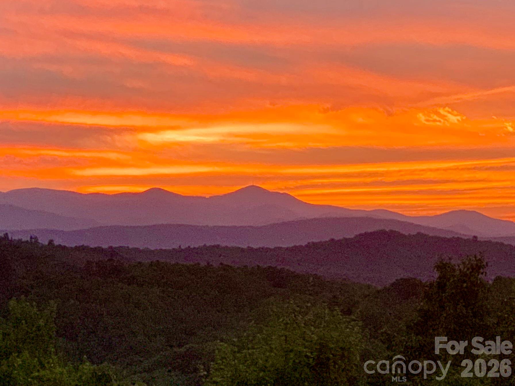 135 Crossvine Trail — Hendersonville