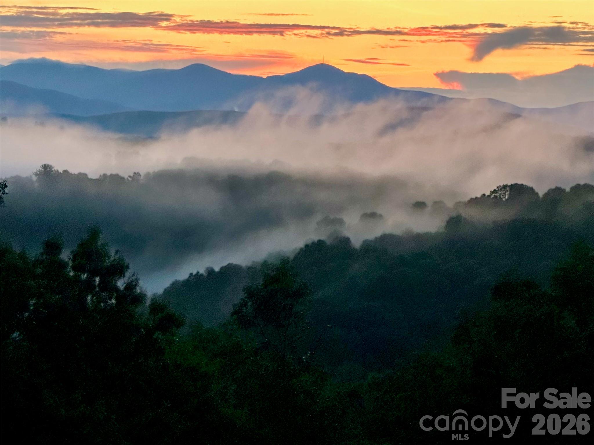 135 Crossvine Trail — Hendersonville