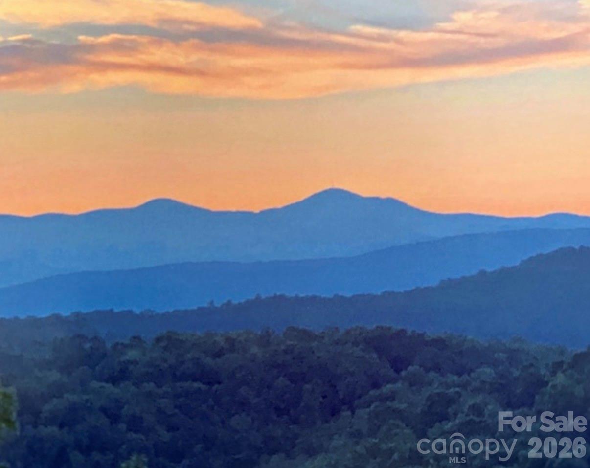 135 Crossvine Trail — Hendersonville