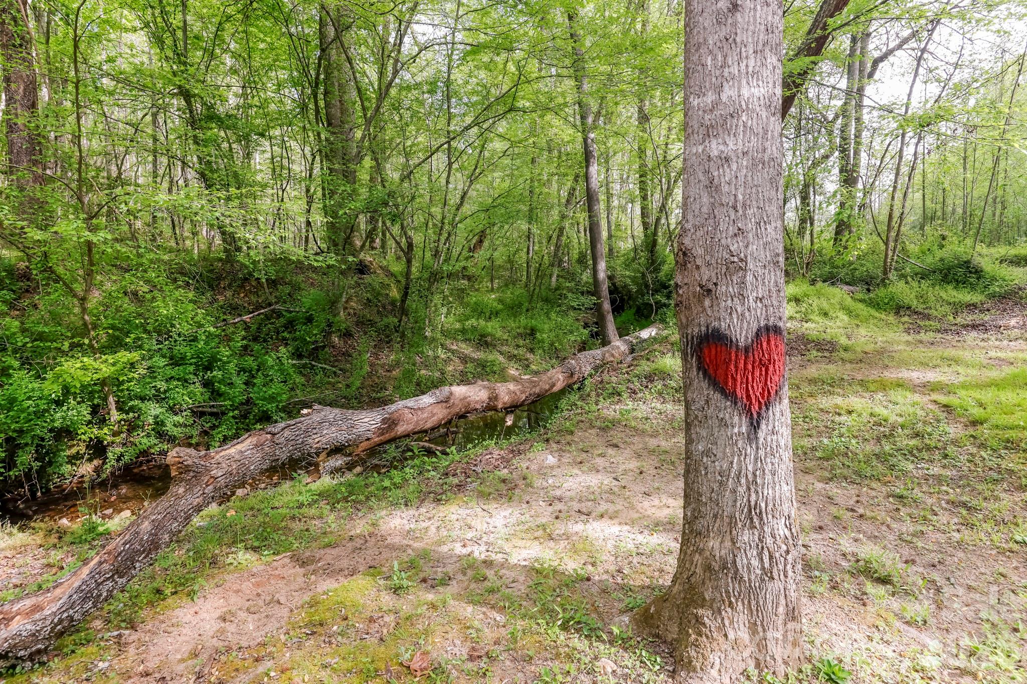 168 Robert Church Road — Ellenboro