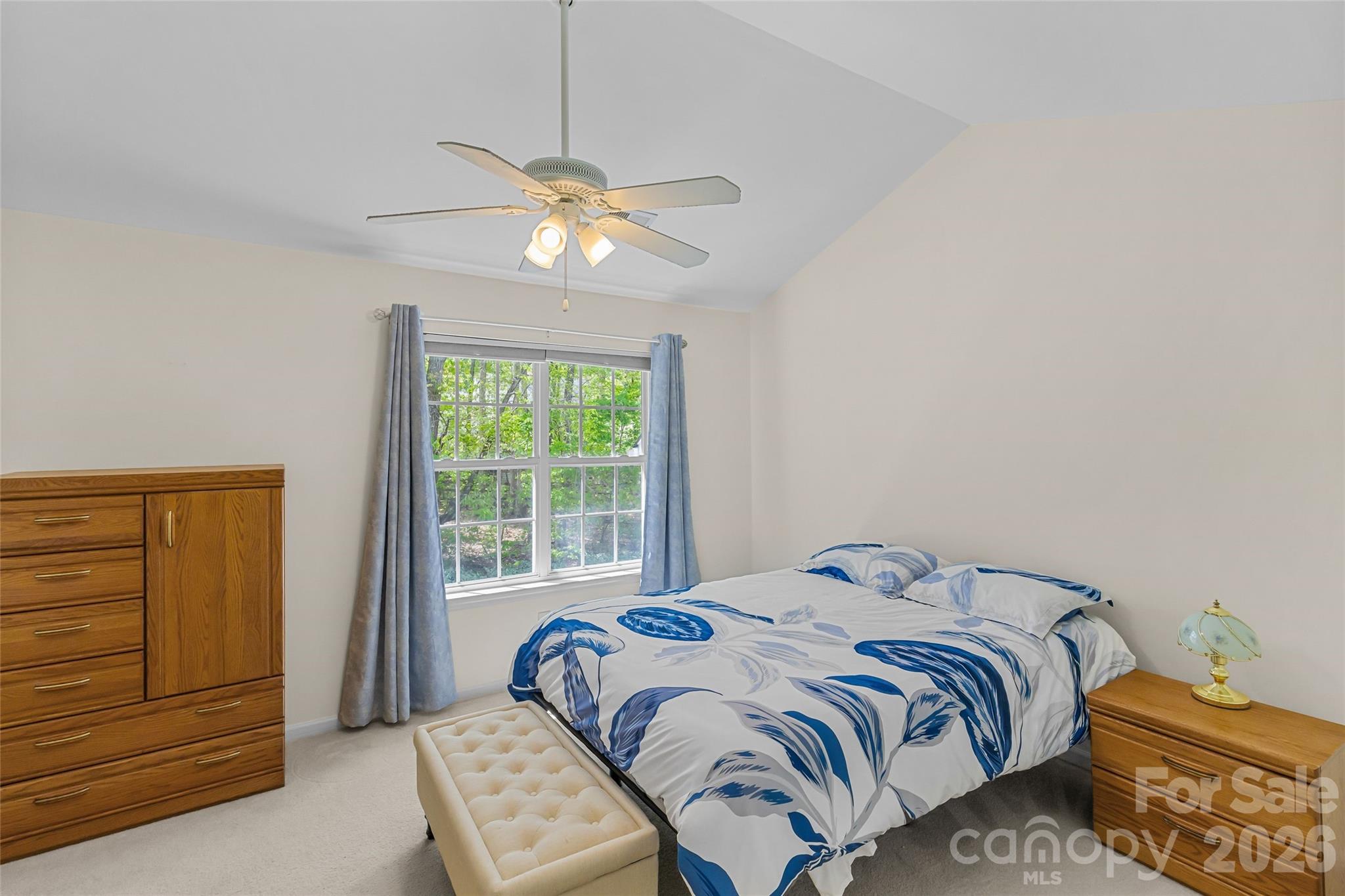8733 Robinson Forest Drive — Charlotte