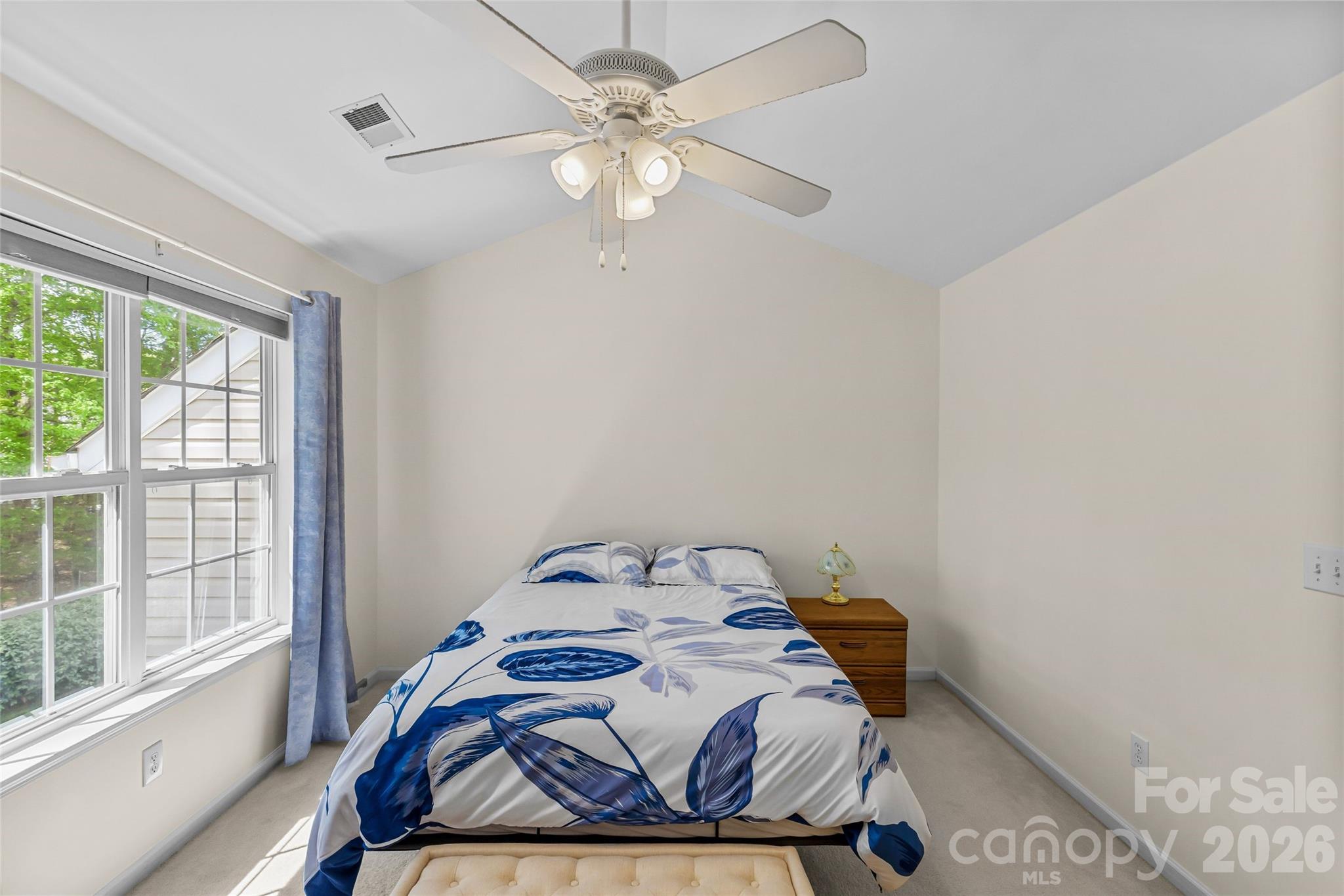 8733 Robinson Forest Drive — Charlotte