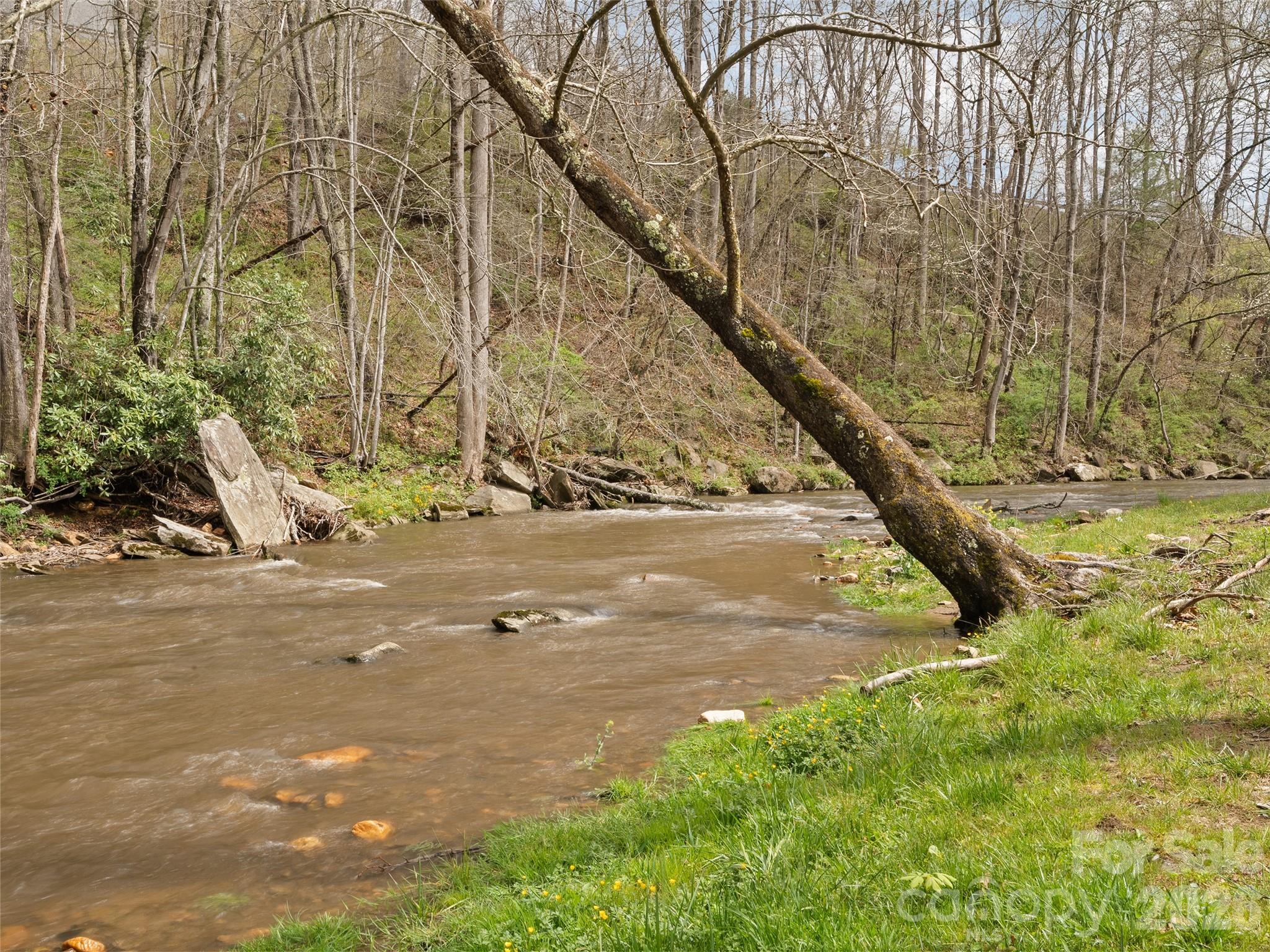 44 Rapid Waters Way — Waynesville