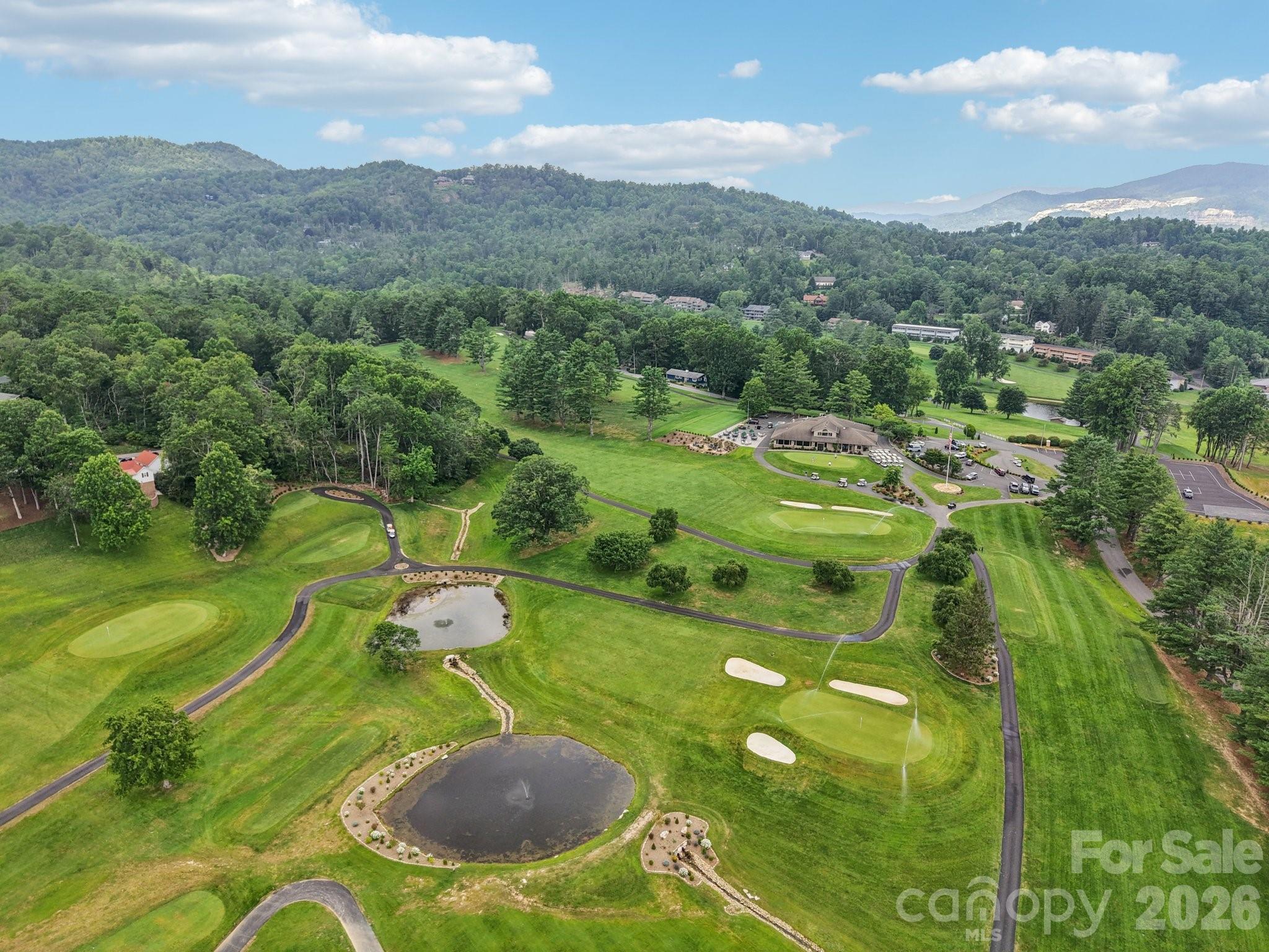 1063 Swiss Pine Lake Drive — Spruce Pine