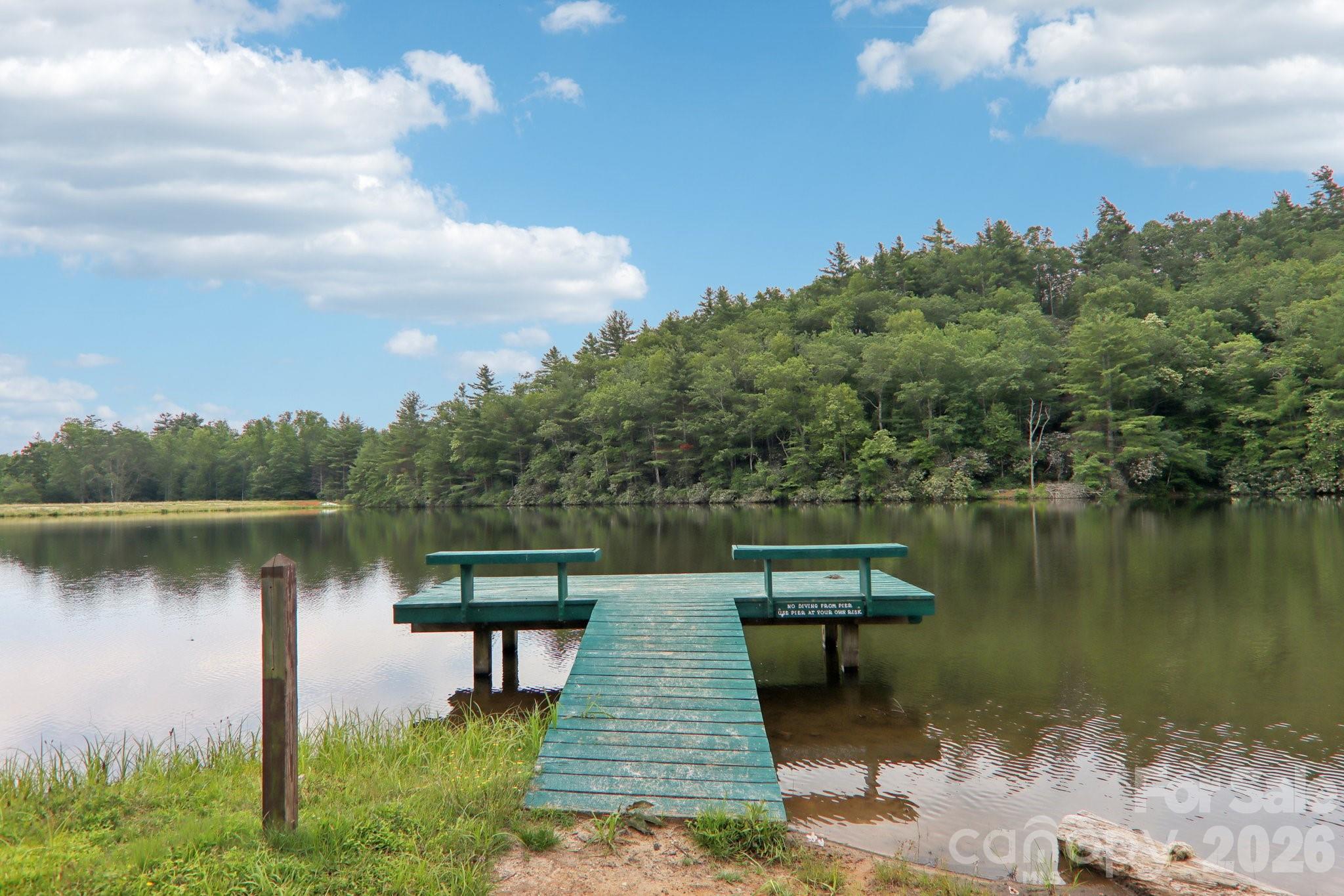 1063 Swiss Pine Lake Drive — Spruce Pine