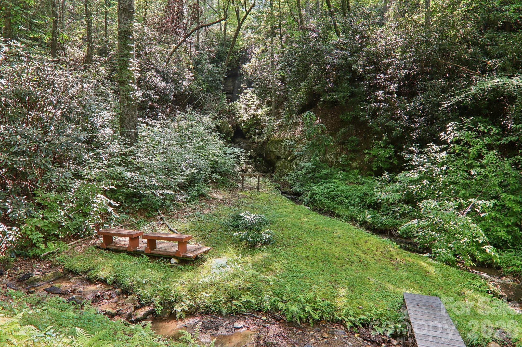 1063 Swiss Pine Lake Drive — Spruce Pine