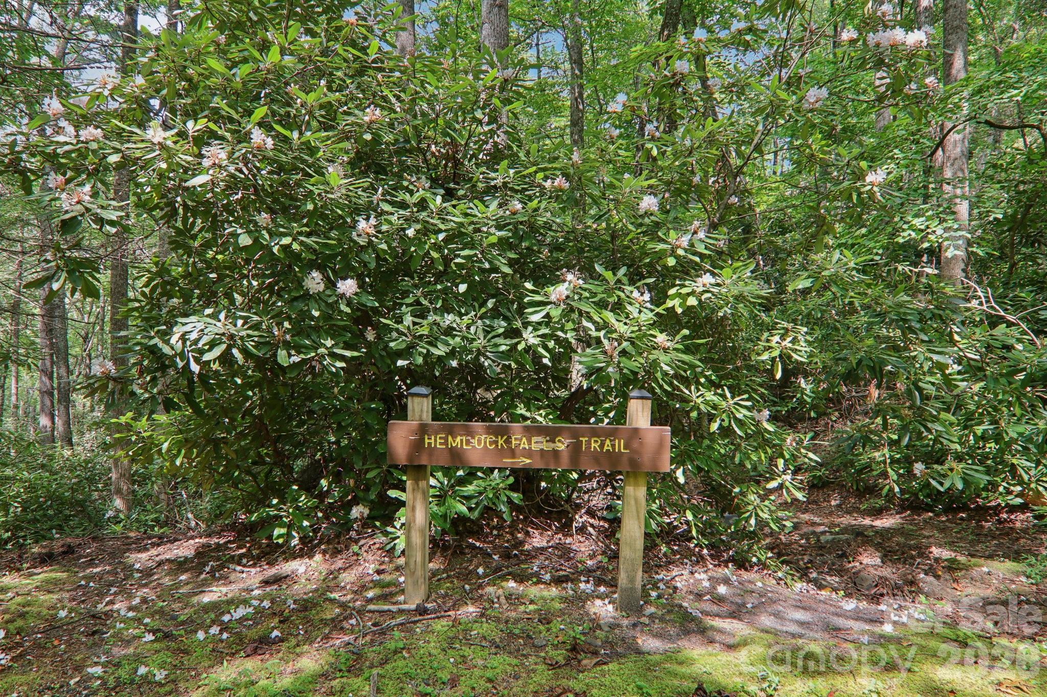 1063 Swiss Pine Lake Drive — Spruce Pine