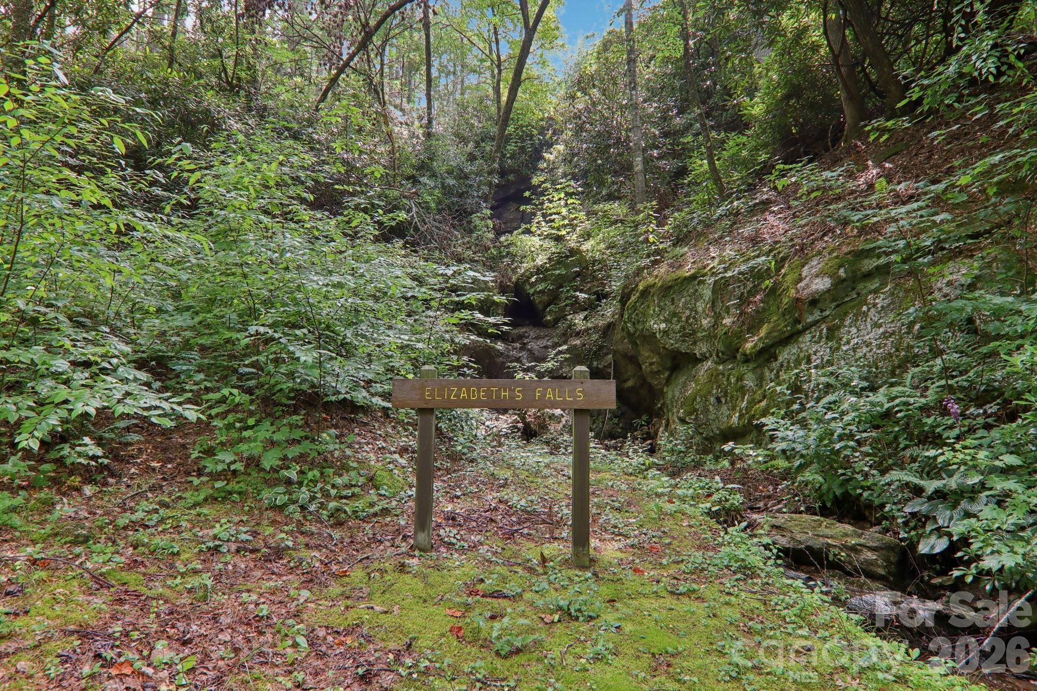 1063 Swiss Pine Lake Drive — Spruce Pine