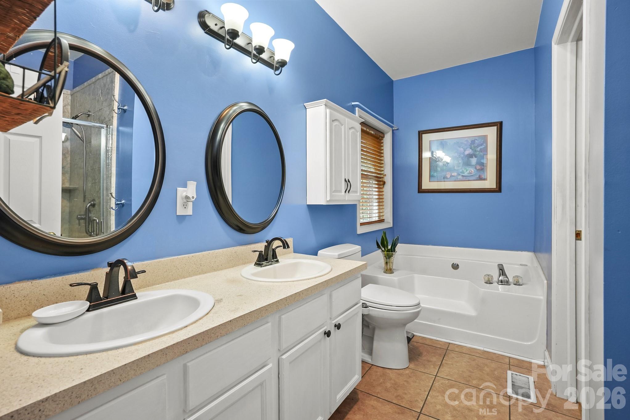 4376 Scenic View Court — Iron Station