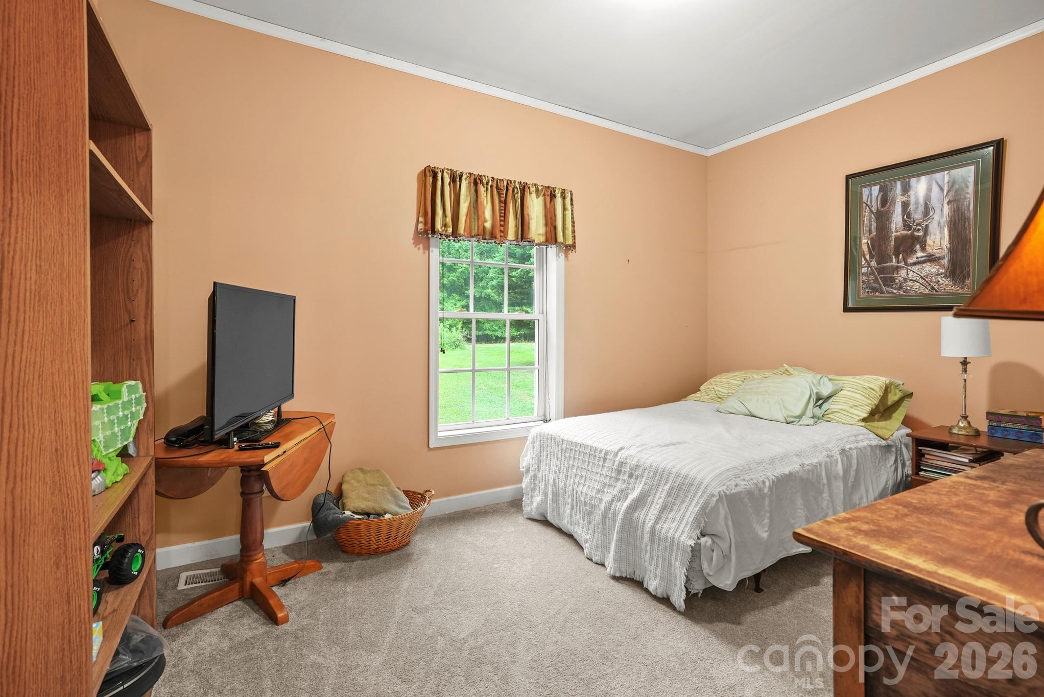 4376 Scenic View Court — Iron Station