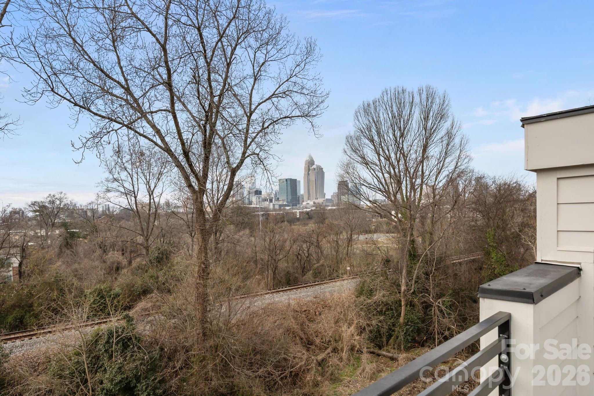 513 Strong Avenue — Charlotte