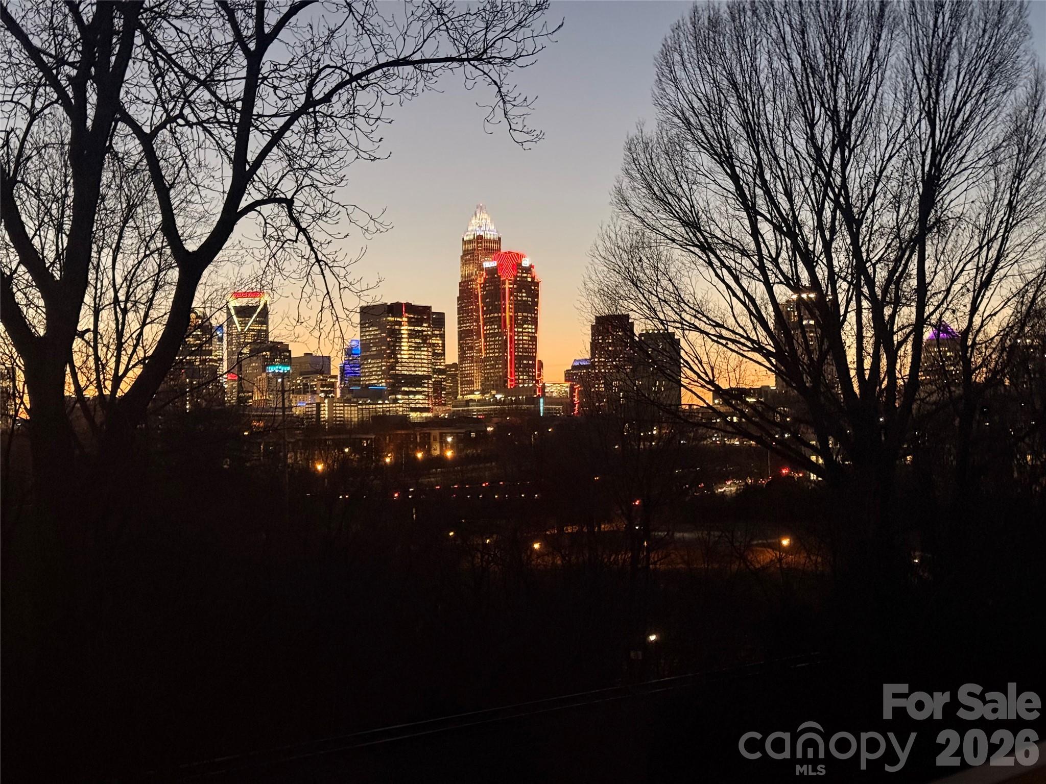 513 Strong Avenue — Charlotte