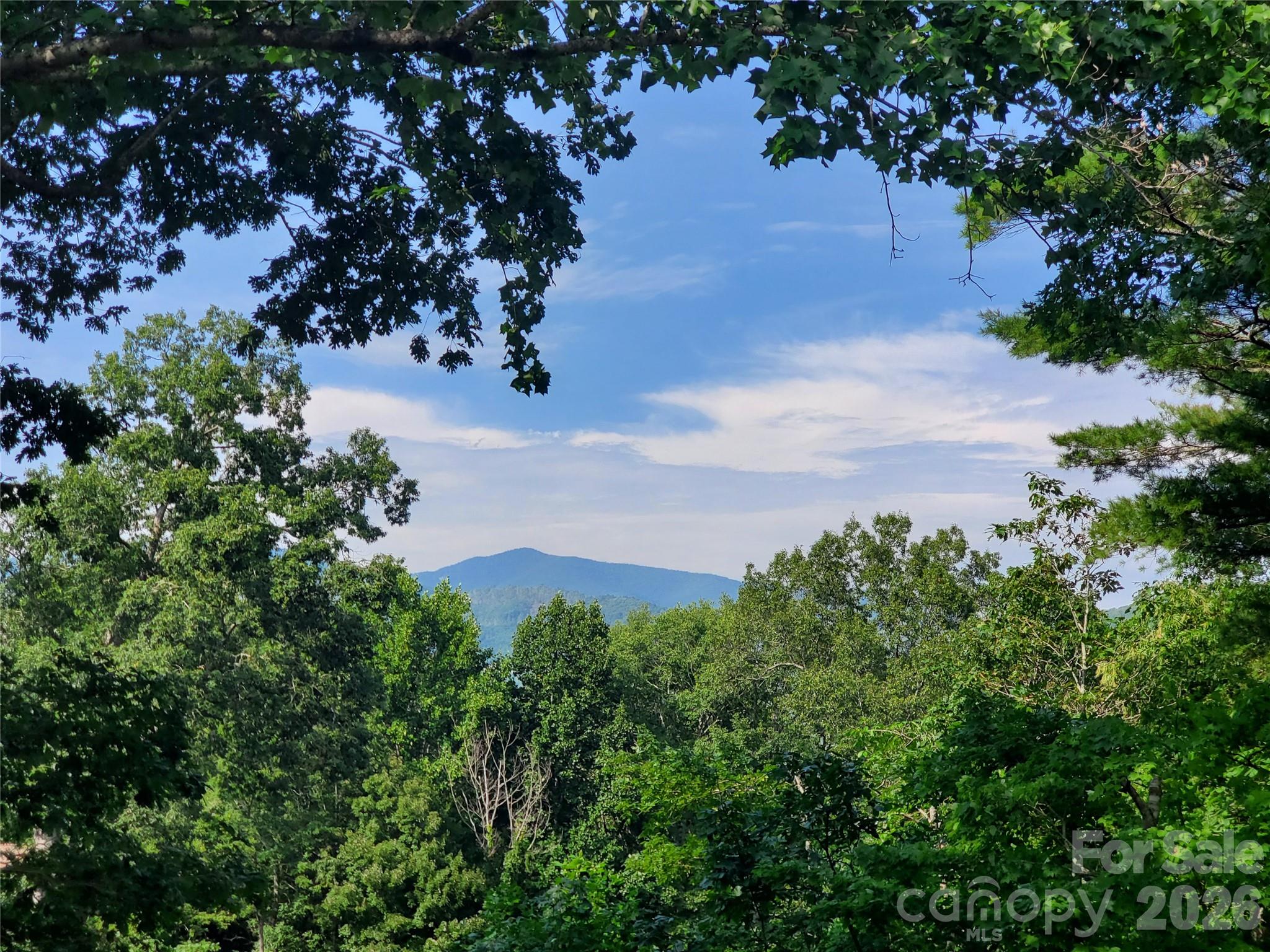 294 Martha Drive — Spruce Pine