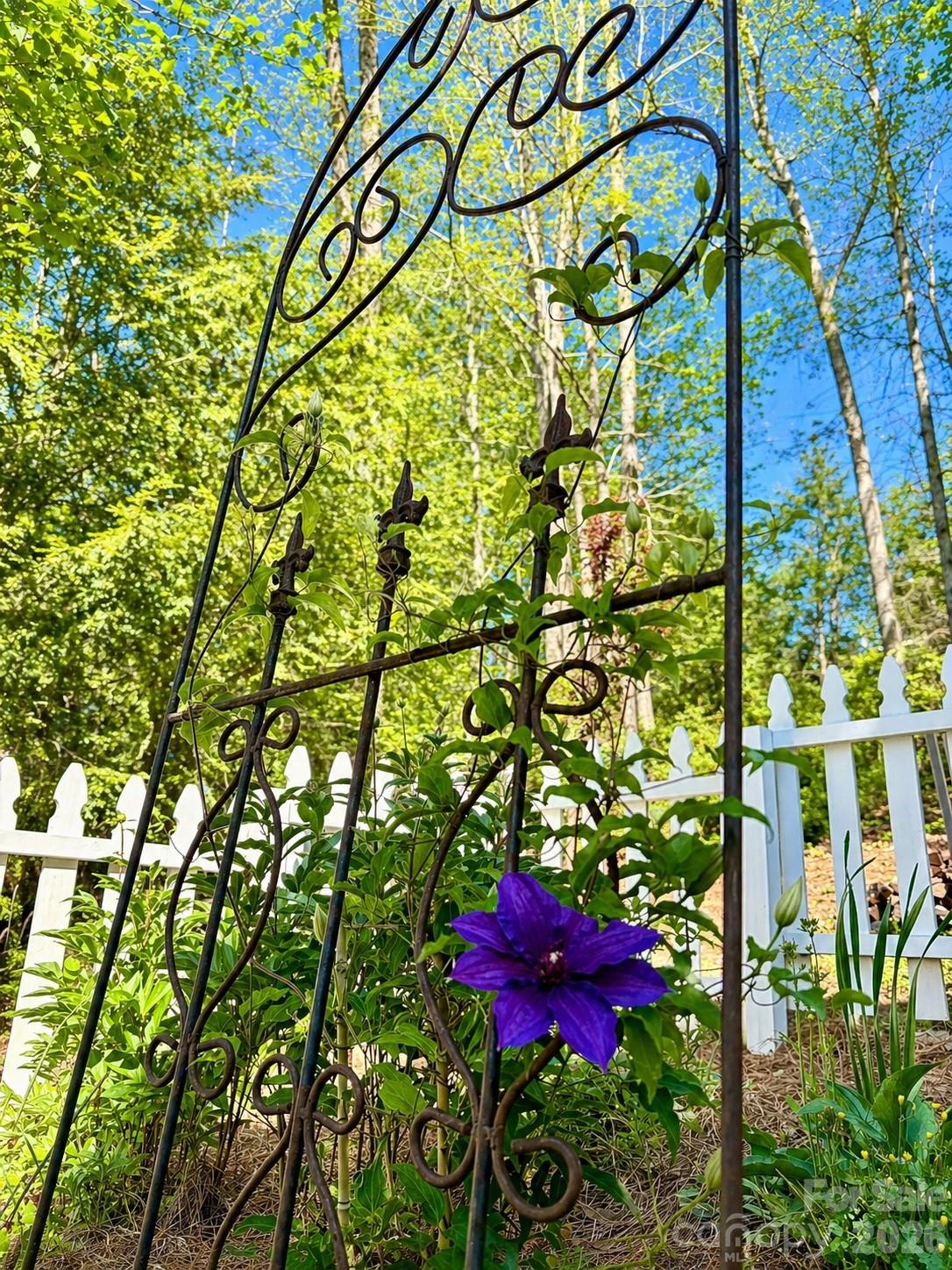 20 Bent Oak Lane — Asheville