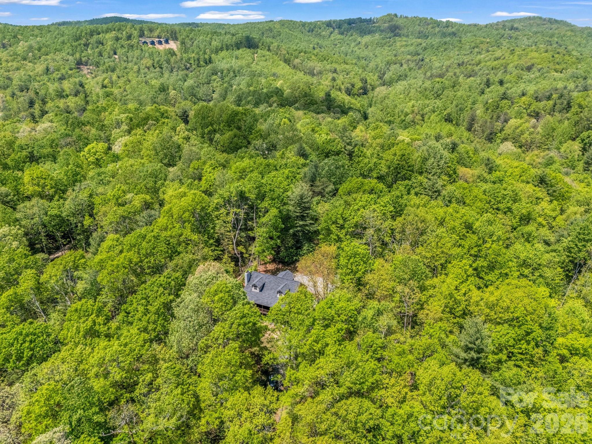 2304 Mountain Page Road — Saluda