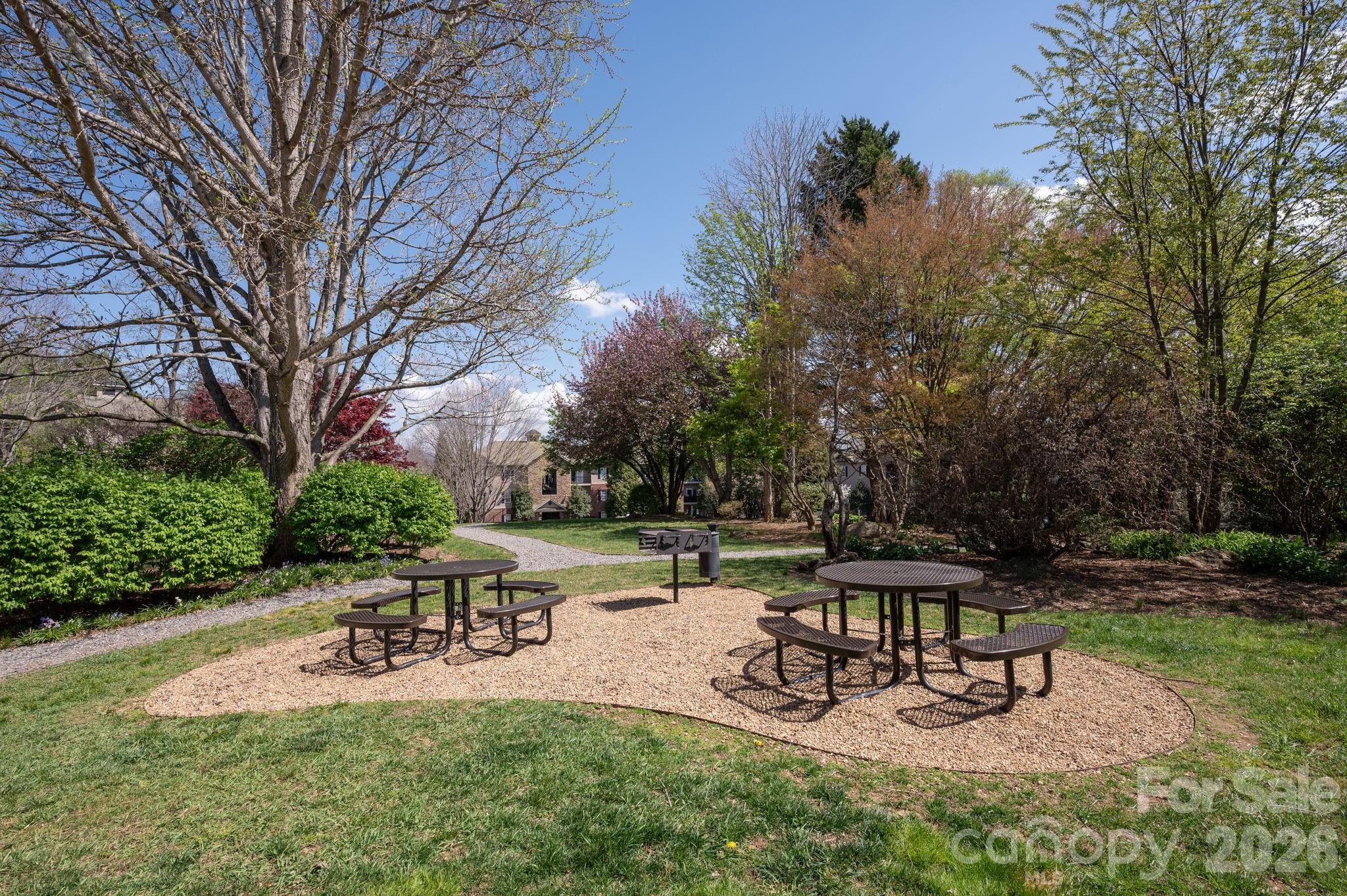 123 Appeldoorn Circle — Asheville