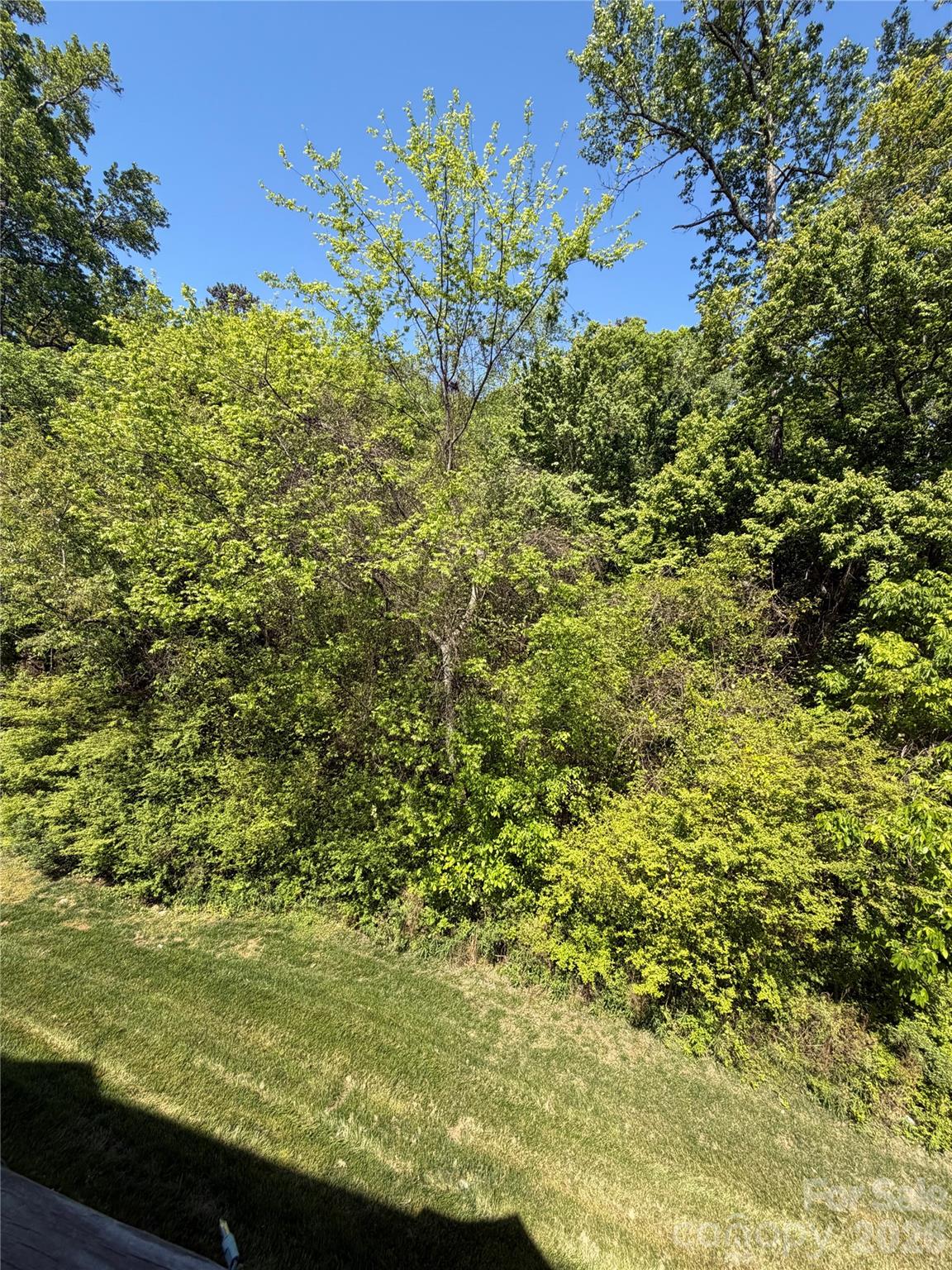 3046 Woodlands Creek Drive #76 — Monroe