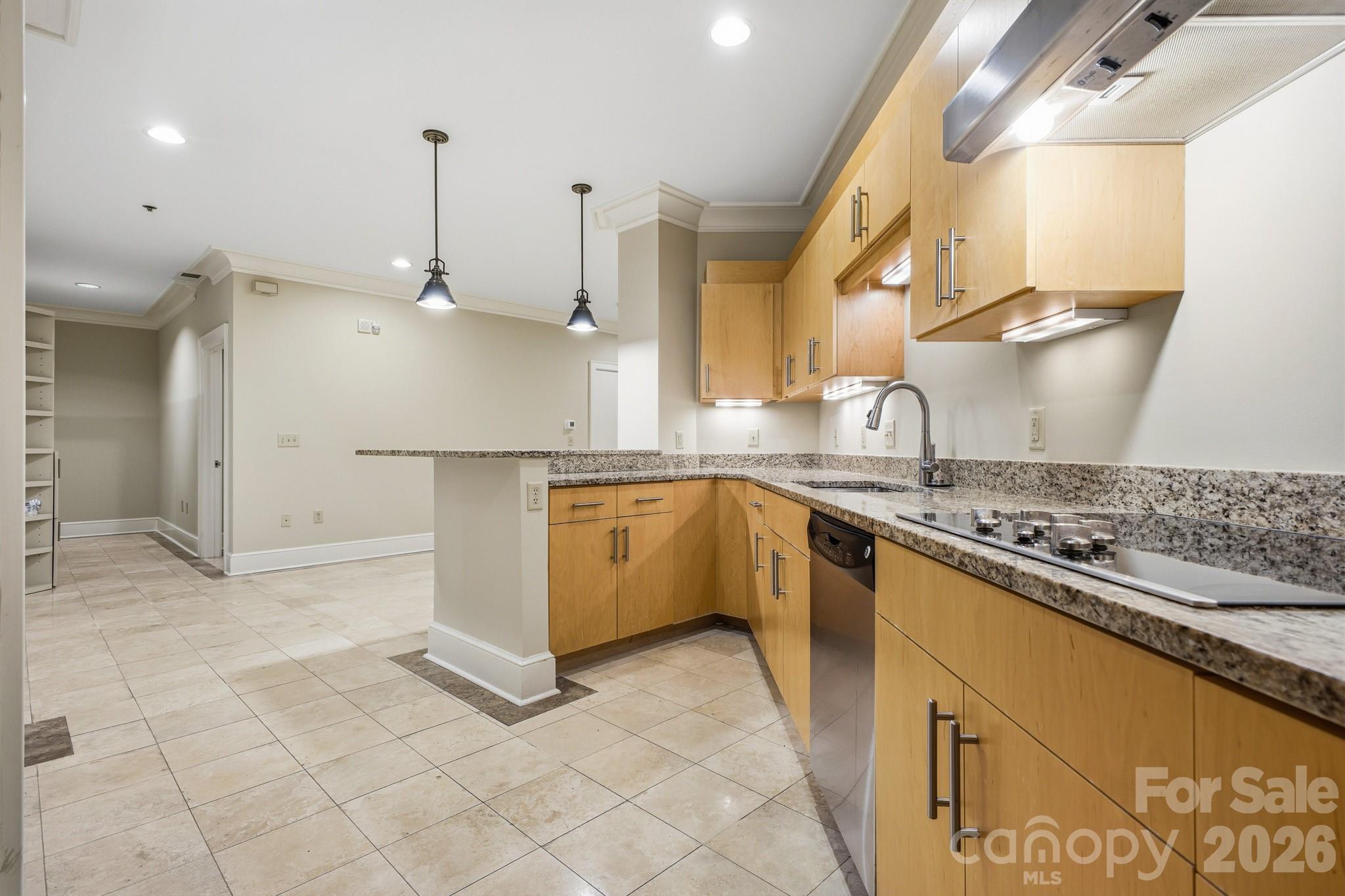 21 Battery Park Avenue #307 — Asheville