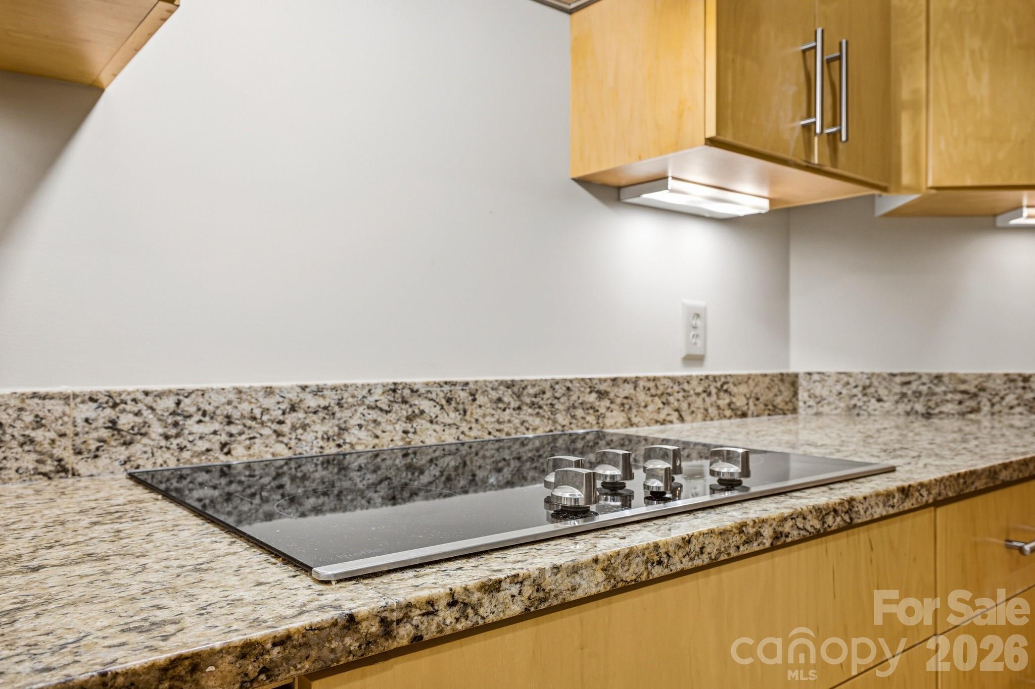 21 Battery Park Avenue #307 — Asheville