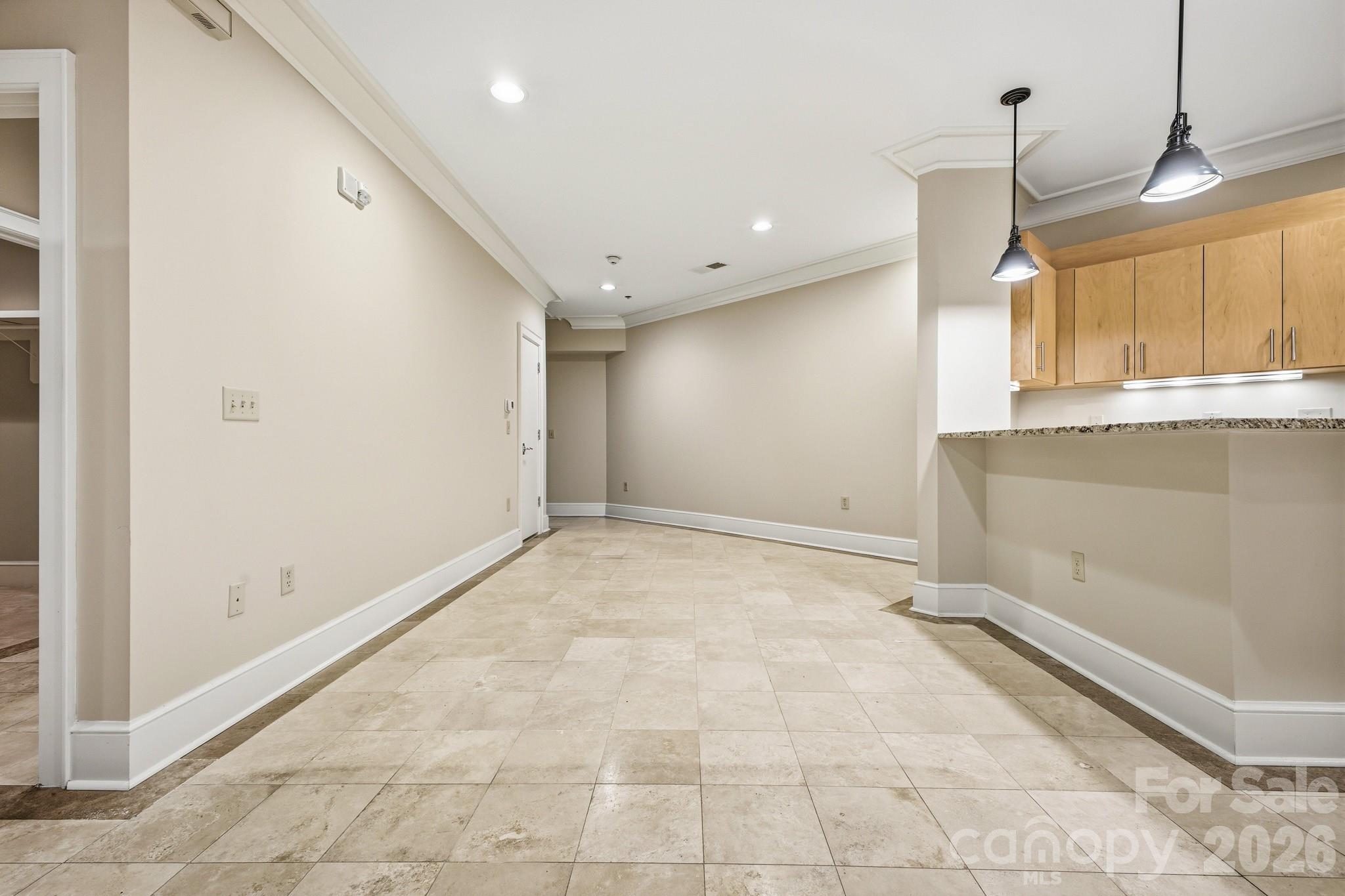 21 Battery Park Avenue #307 — Asheville