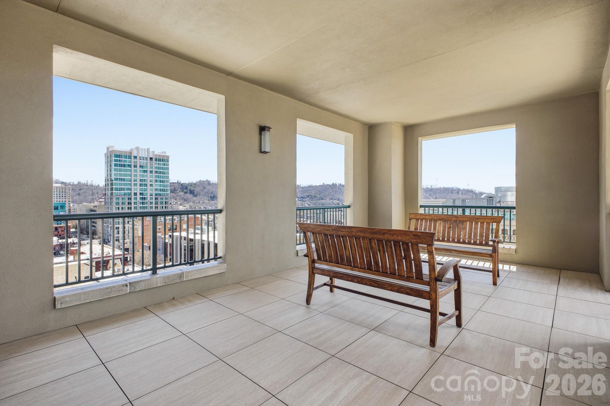 21 Battery Park Avenue #307 — Asheville
