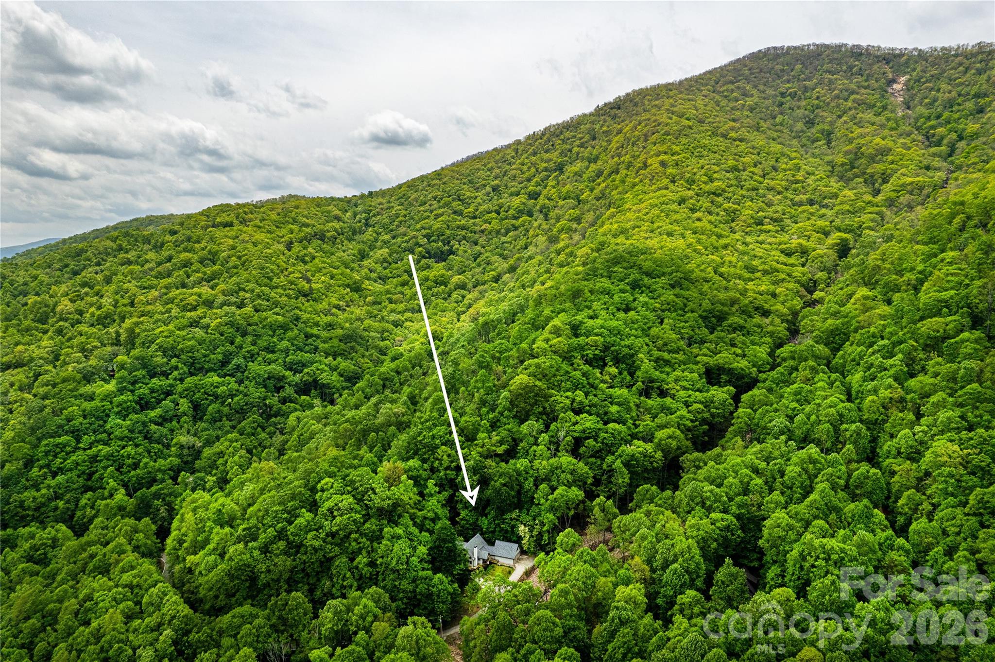 58 Great Aspen Way — Black Mountain