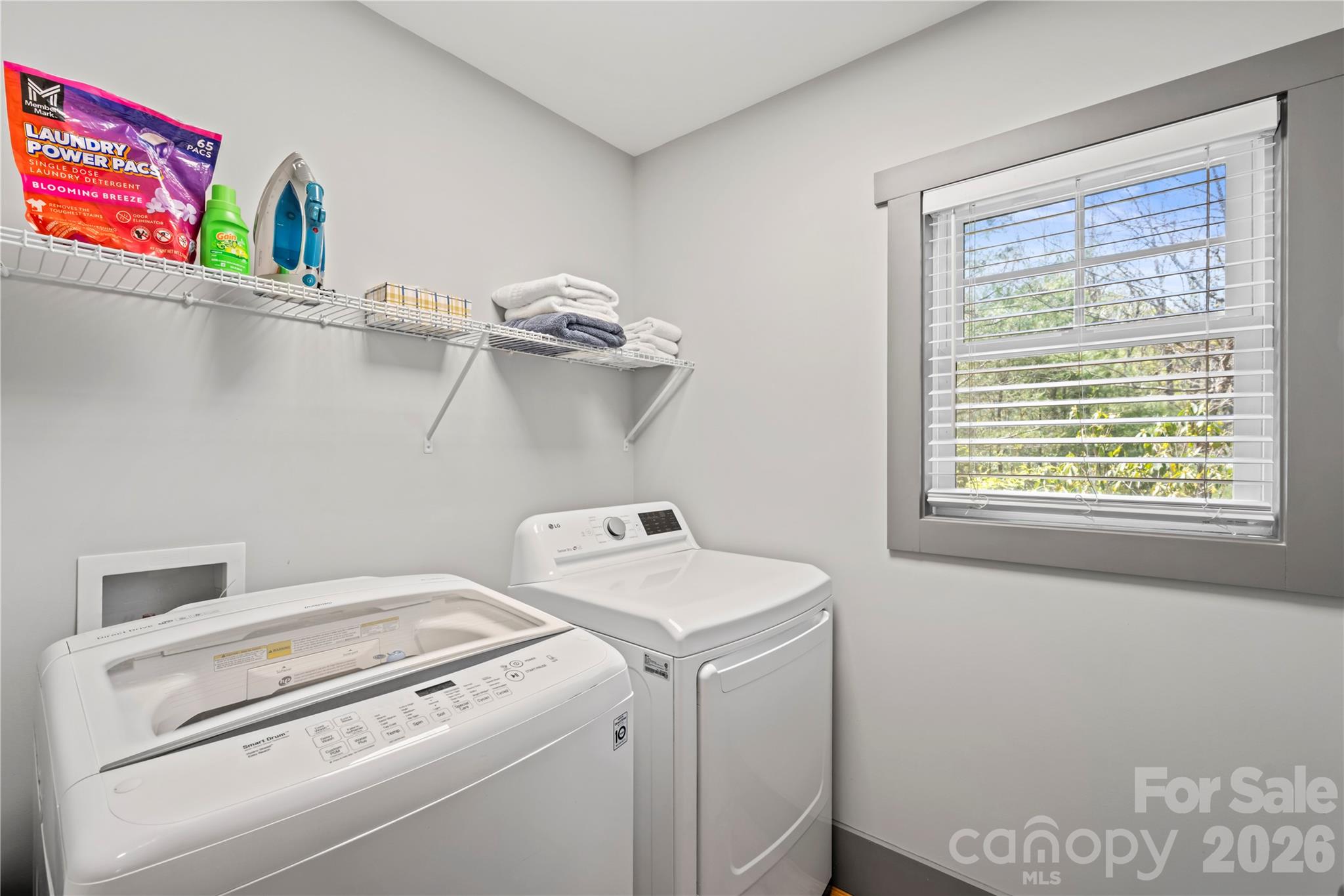 156 Ellerslie Acre None — Hendersonville