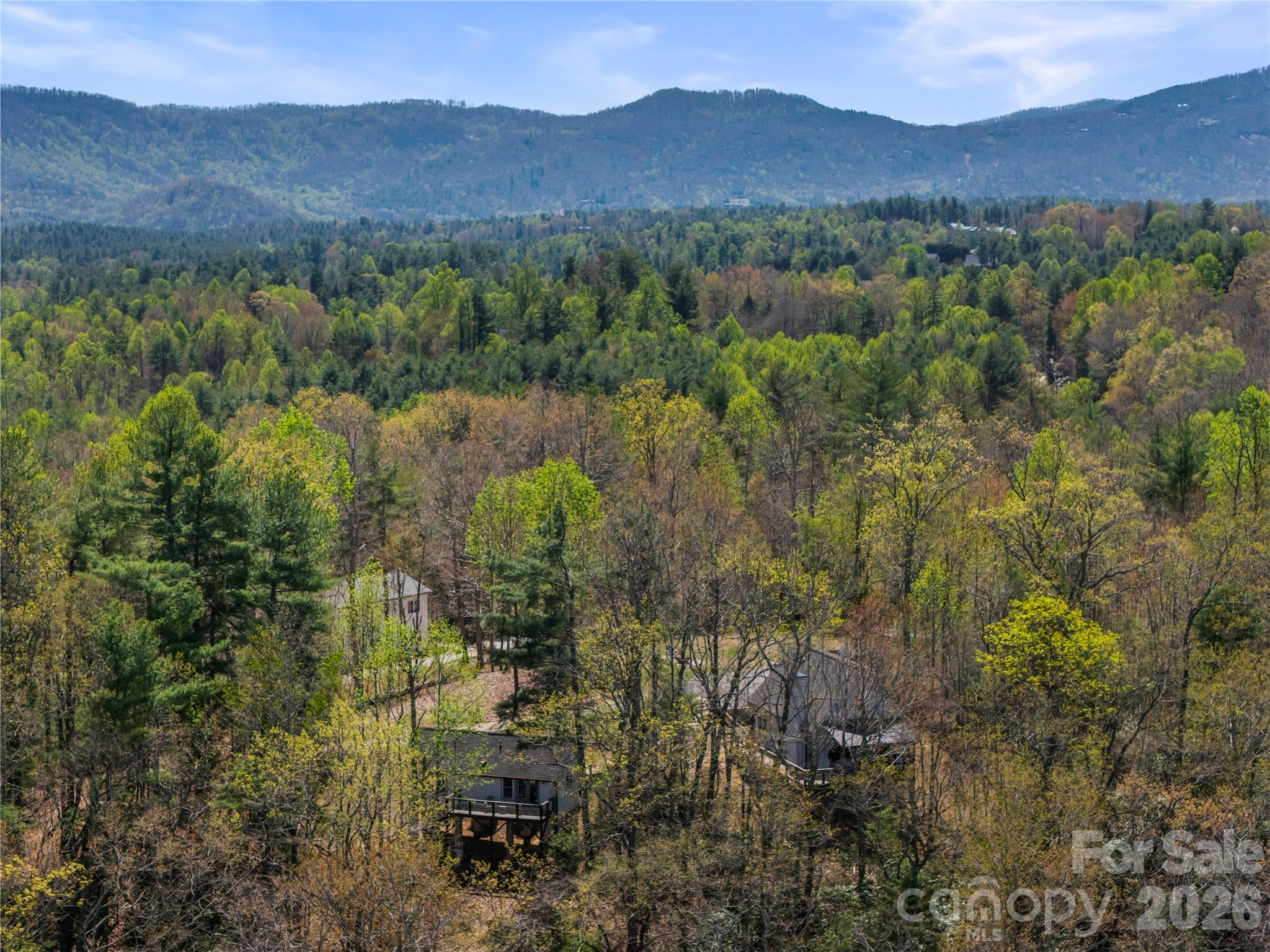 156 Ellerslie Acre None — Hendersonville
