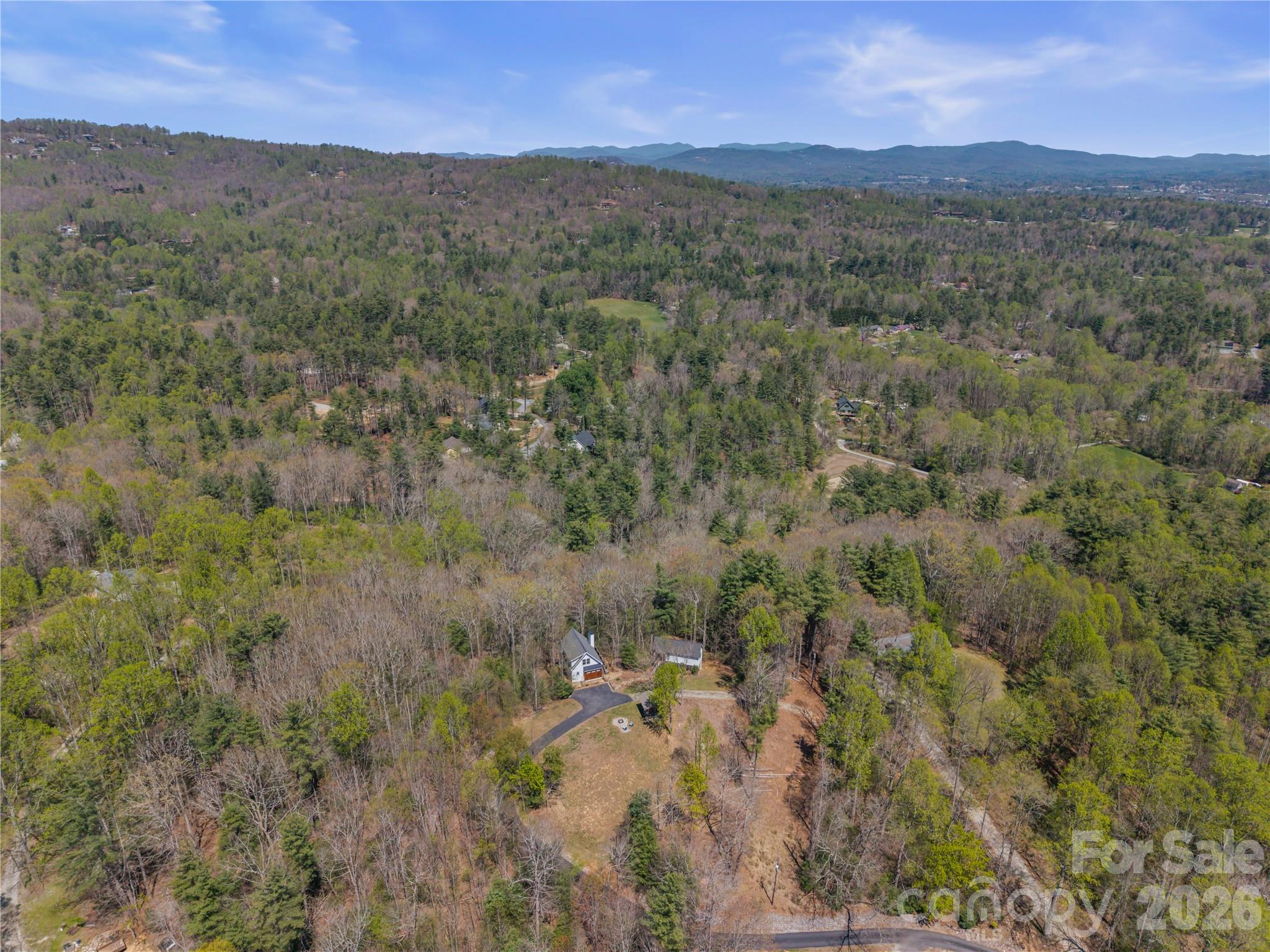 156 Ellerslie Acre None — Hendersonville