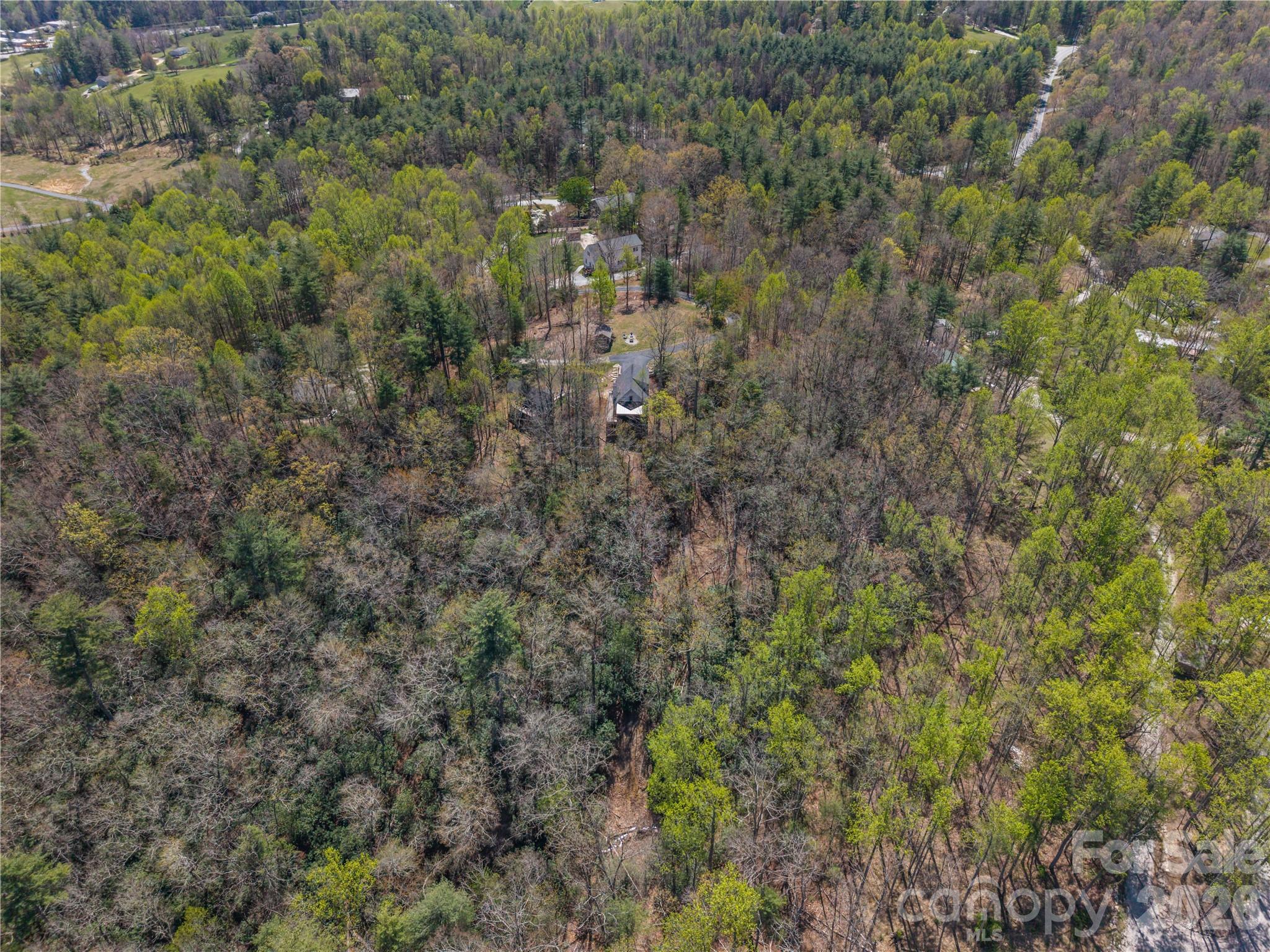 156 Ellerslie Acre None — Hendersonville