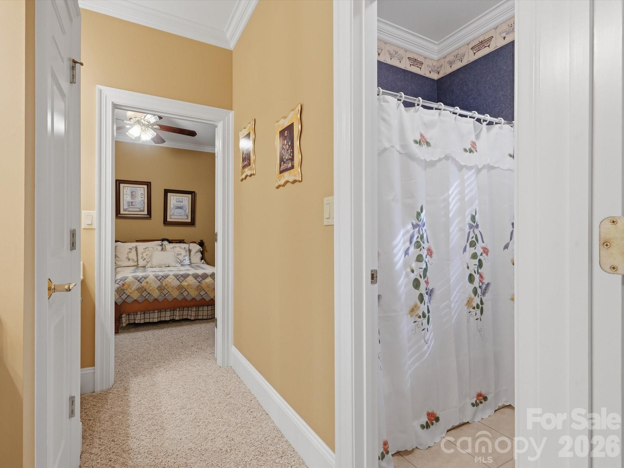 1215 Rosa Drive — Monroe
