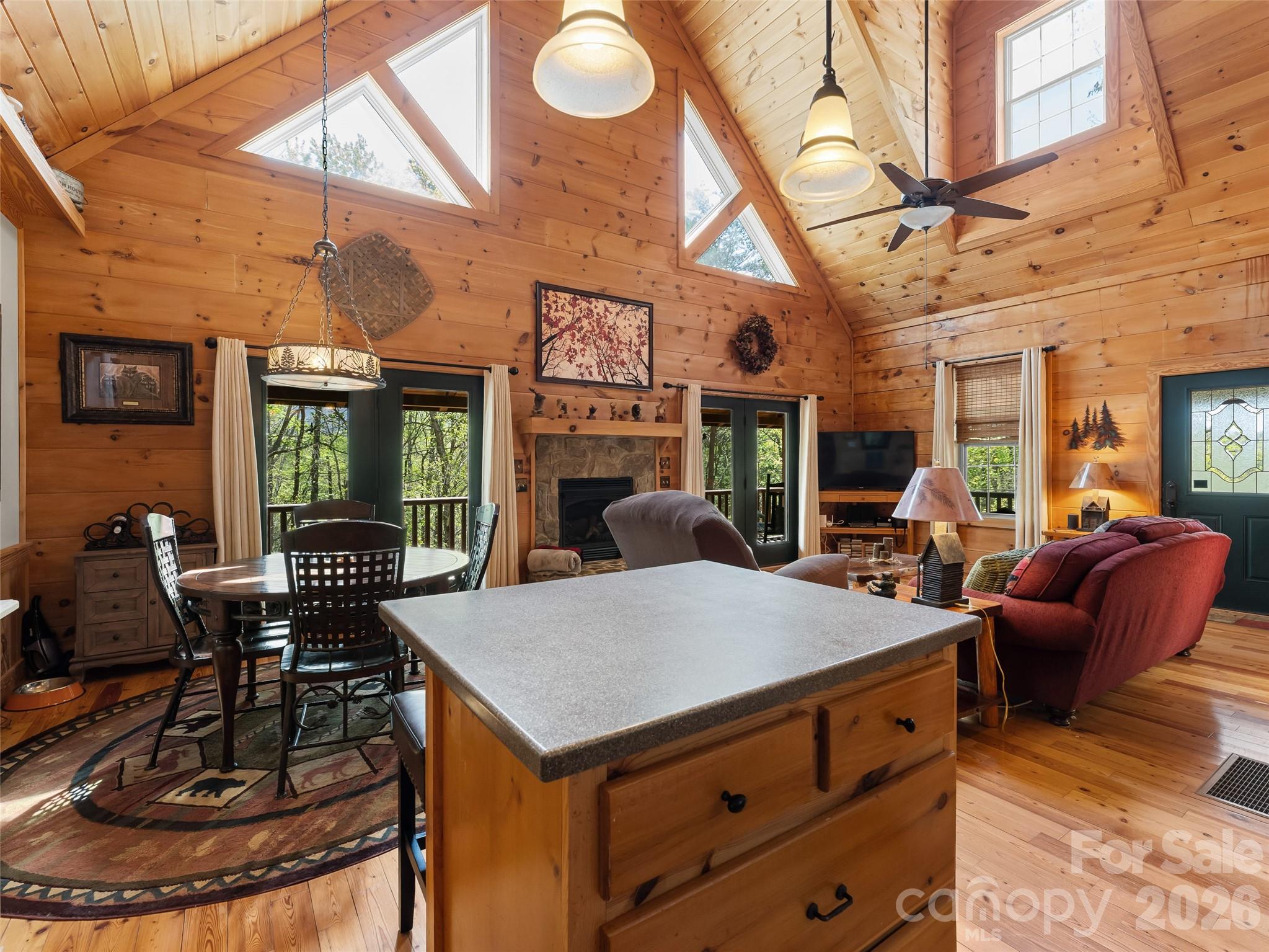 462 Deep Woods Lane — Saluda