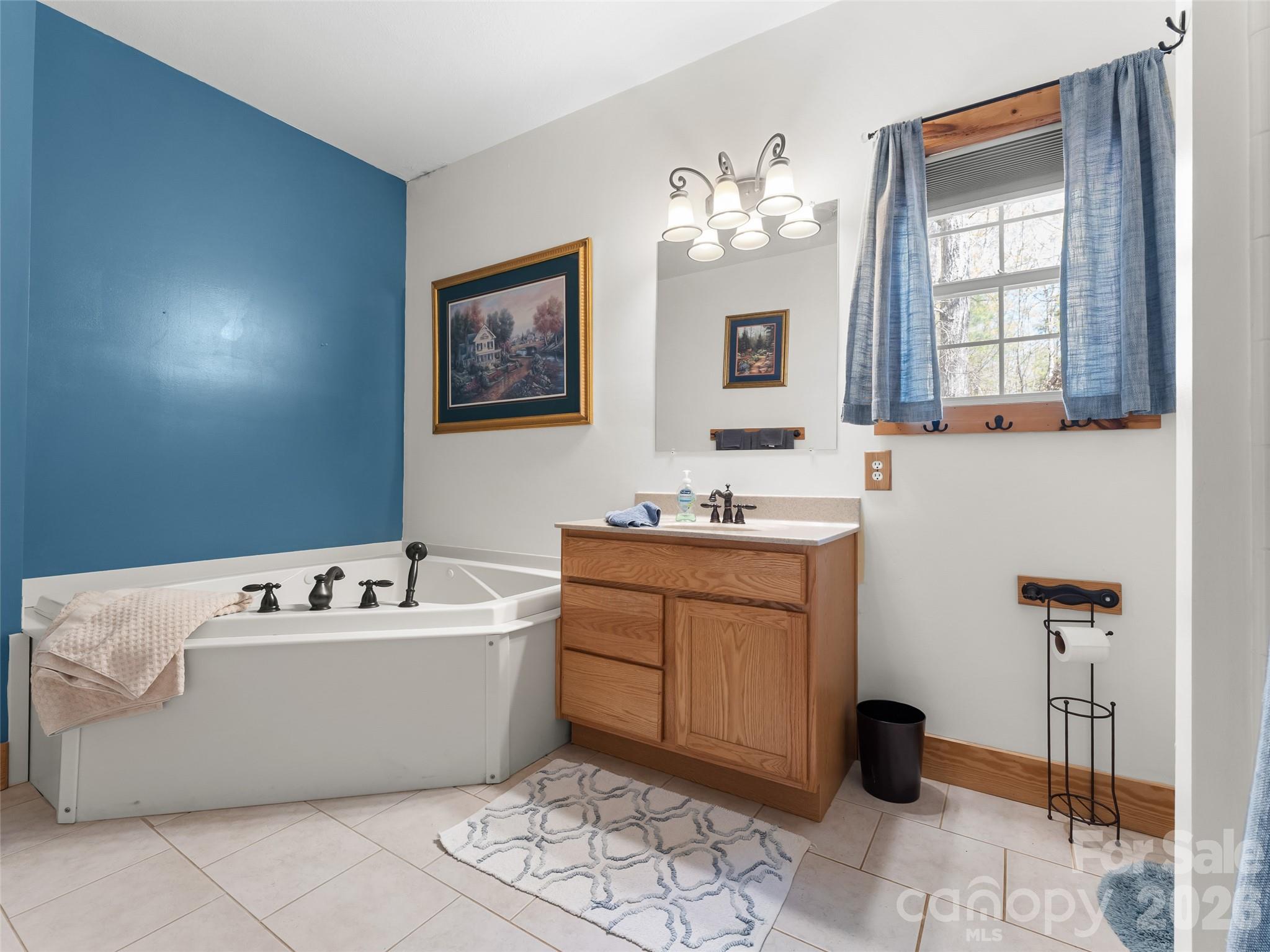462 Deep Woods Lane — Saluda