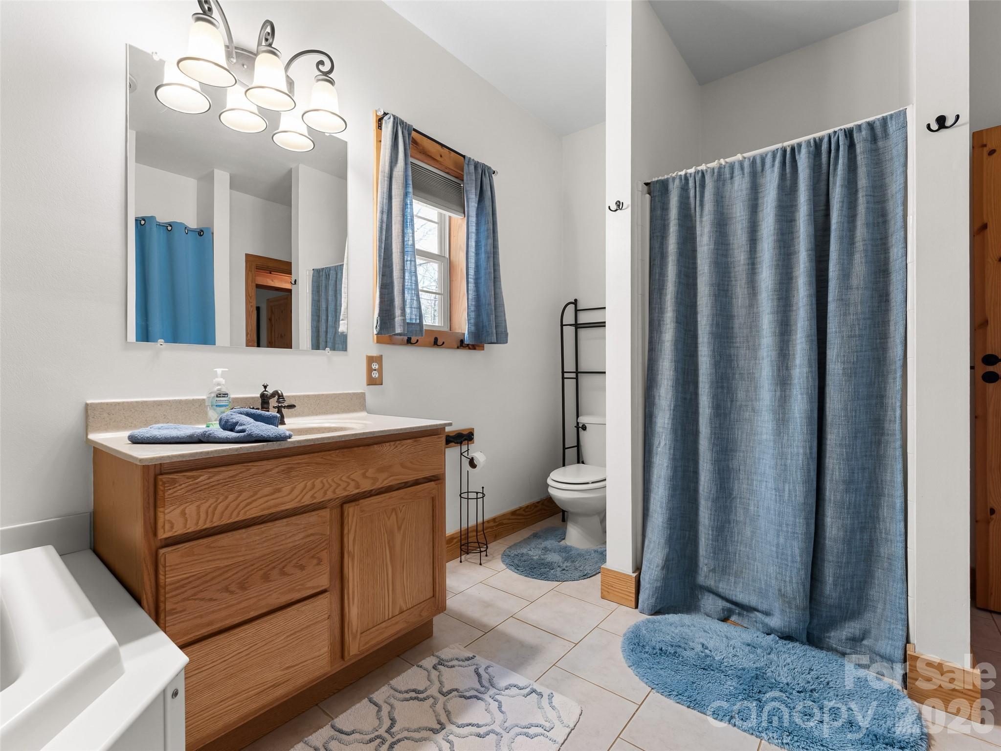 462 Deep Woods Lane — Saluda