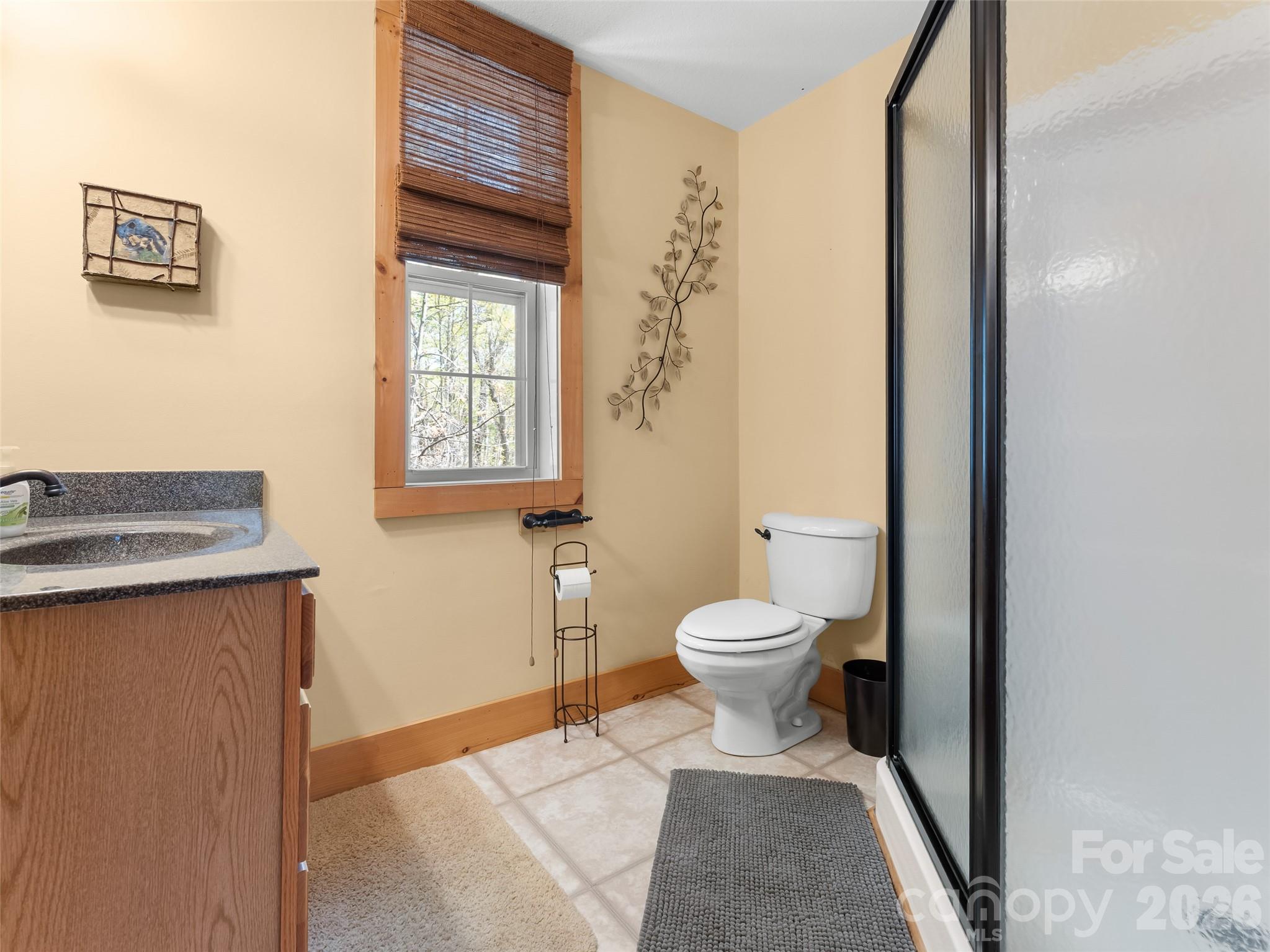 462 Deep Woods Lane — Saluda