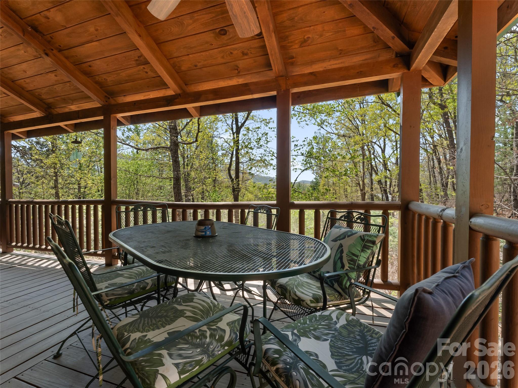 462 Deep Woods Lane — Saluda