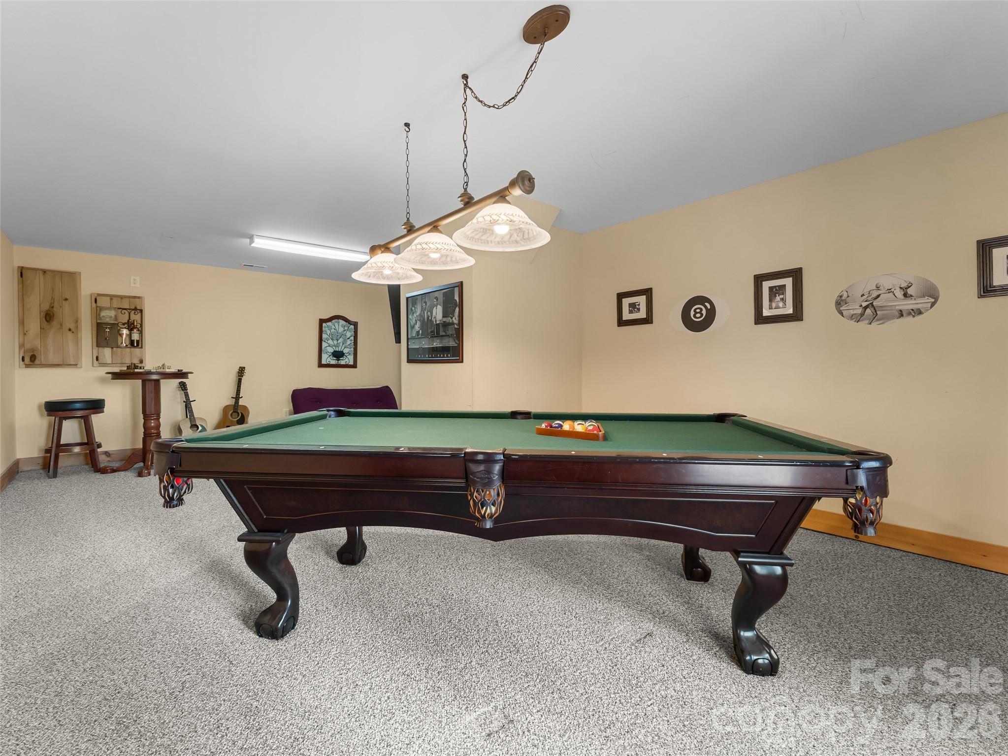 462 Deep Woods Lane — Saluda