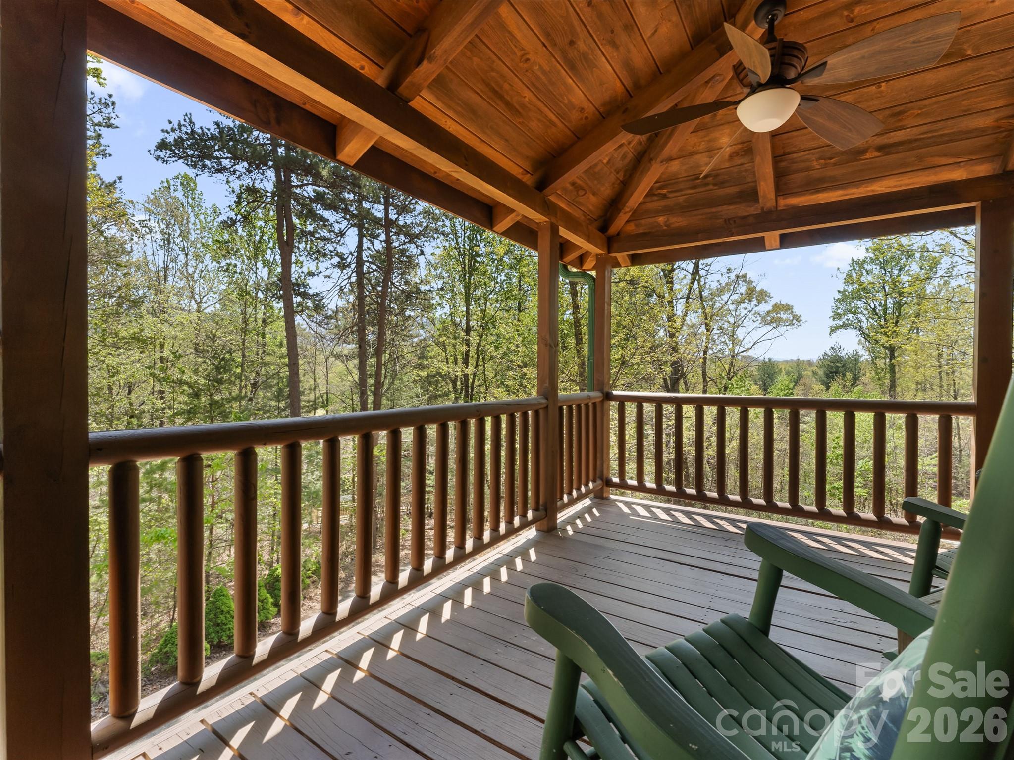 462 Deep Woods Lane — Saluda