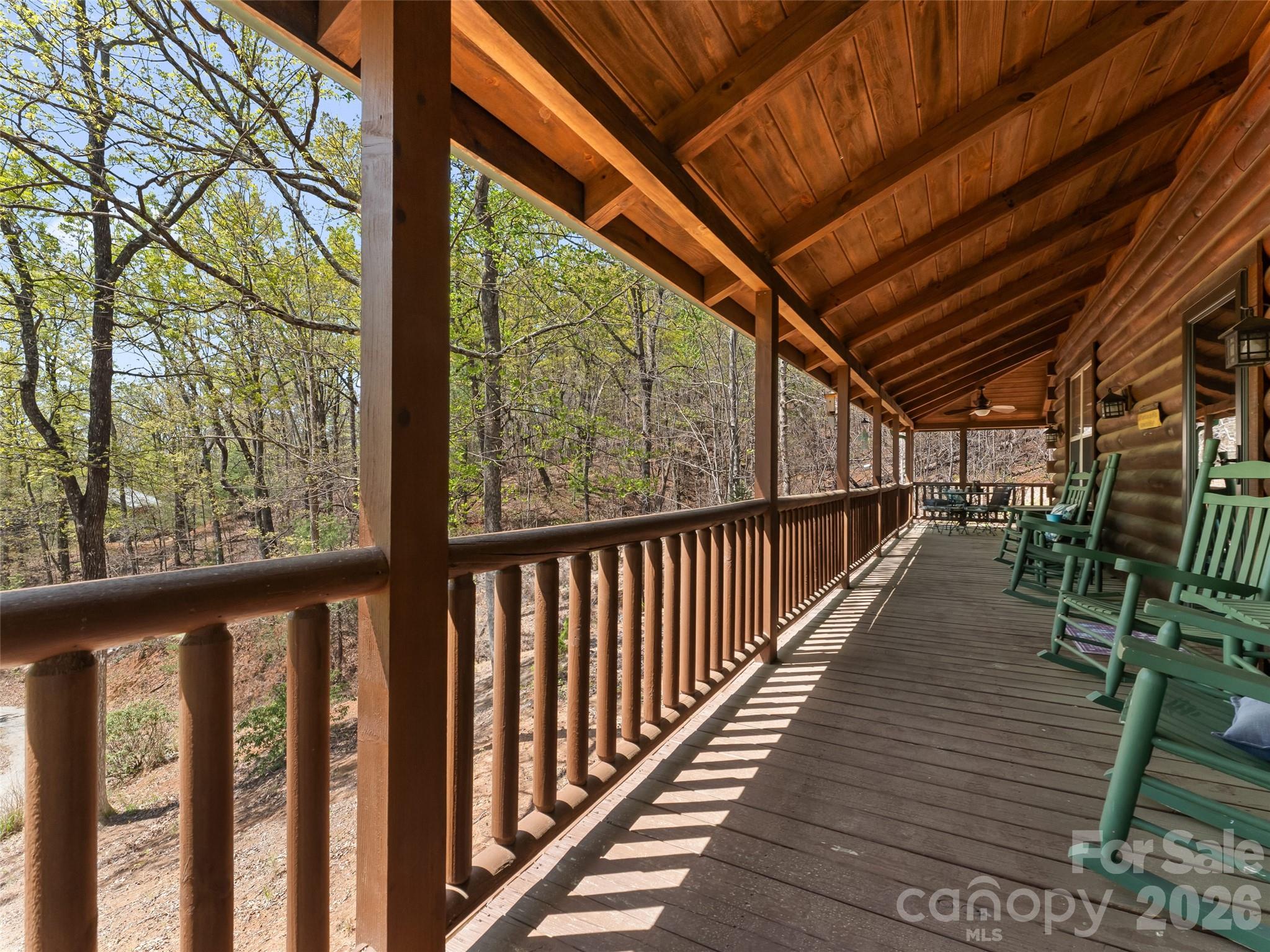 462 Deep Woods Lane — Saluda