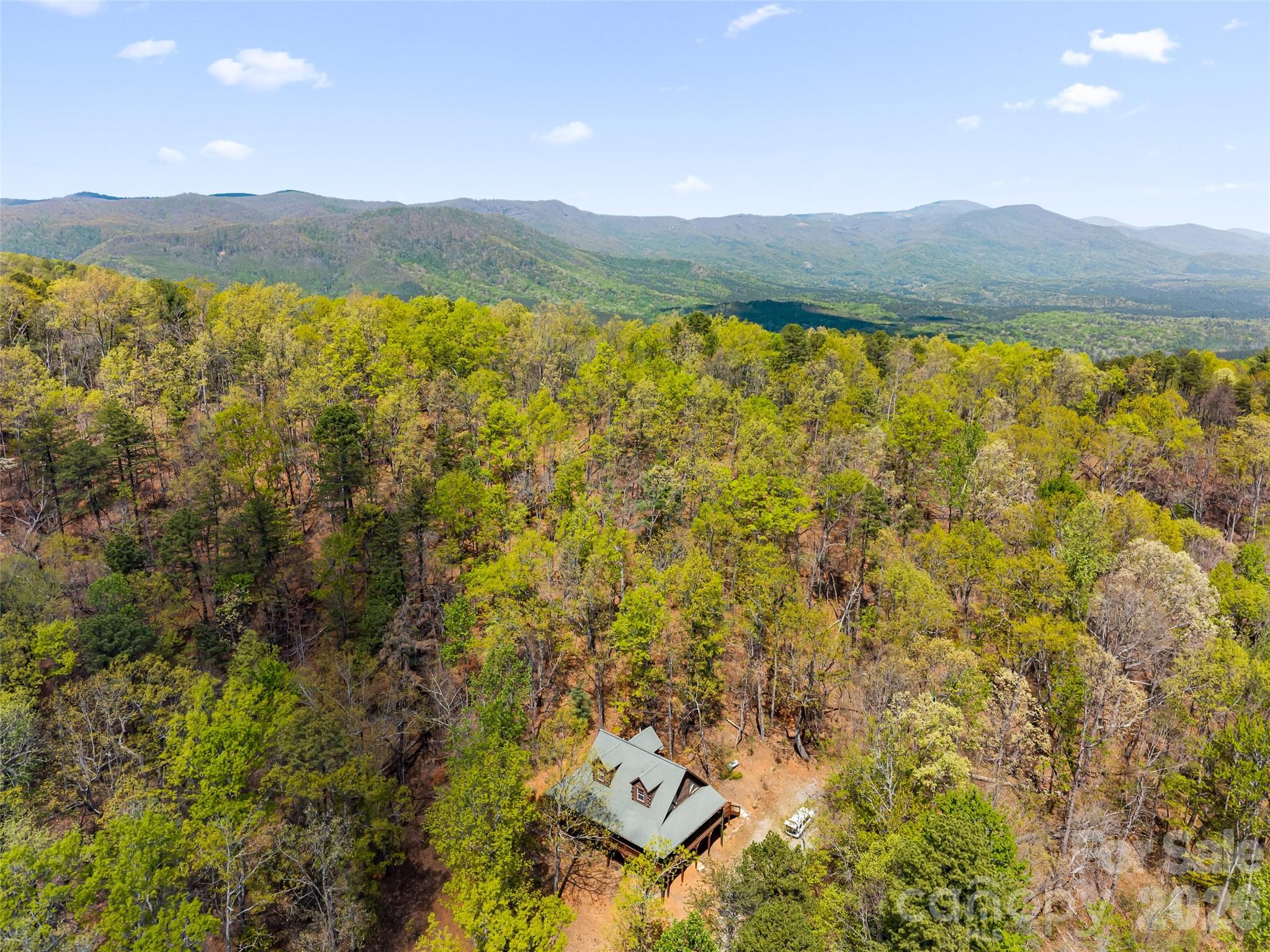 462 Deep Woods Lane — Saluda