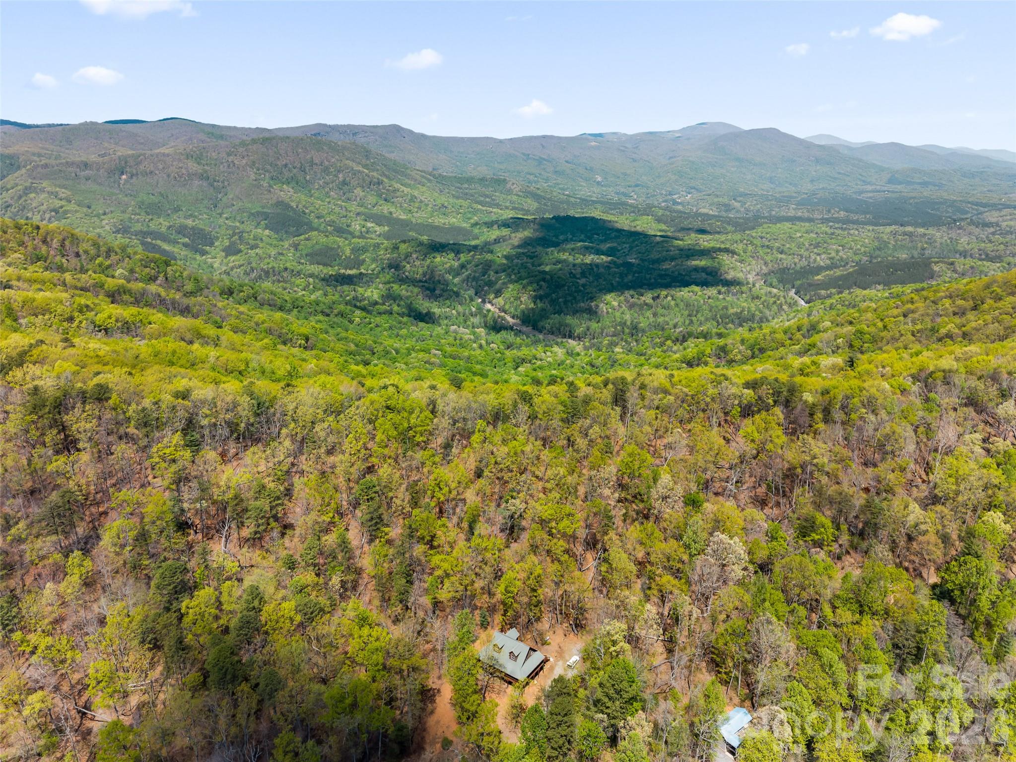 462 Deep Woods Lane — Saluda