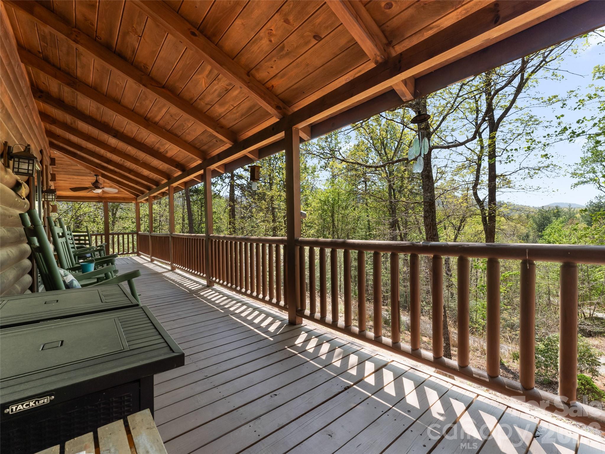 462 Deep Woods Lane — Saluda