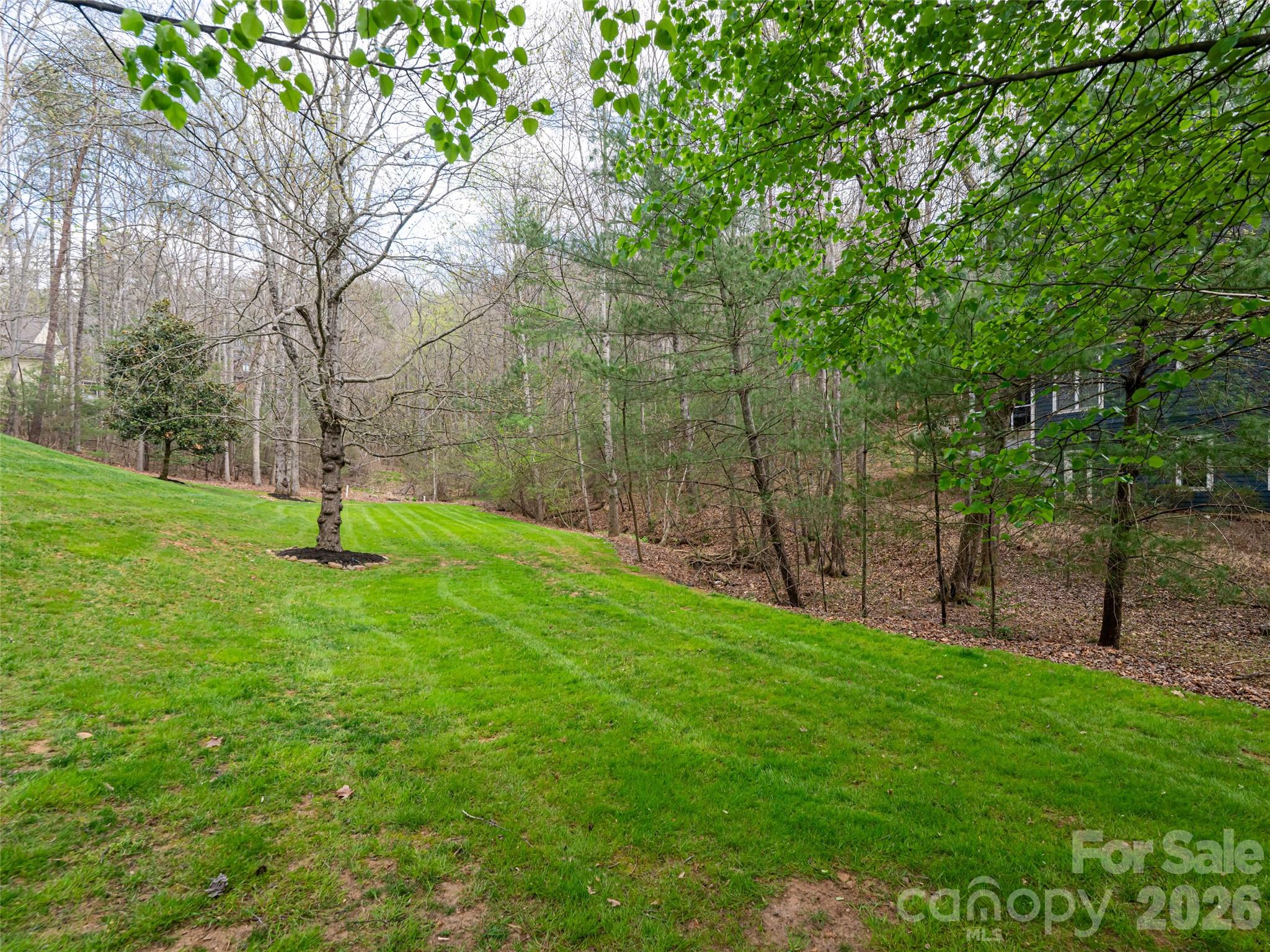 67 White Ash Drive — Asheville