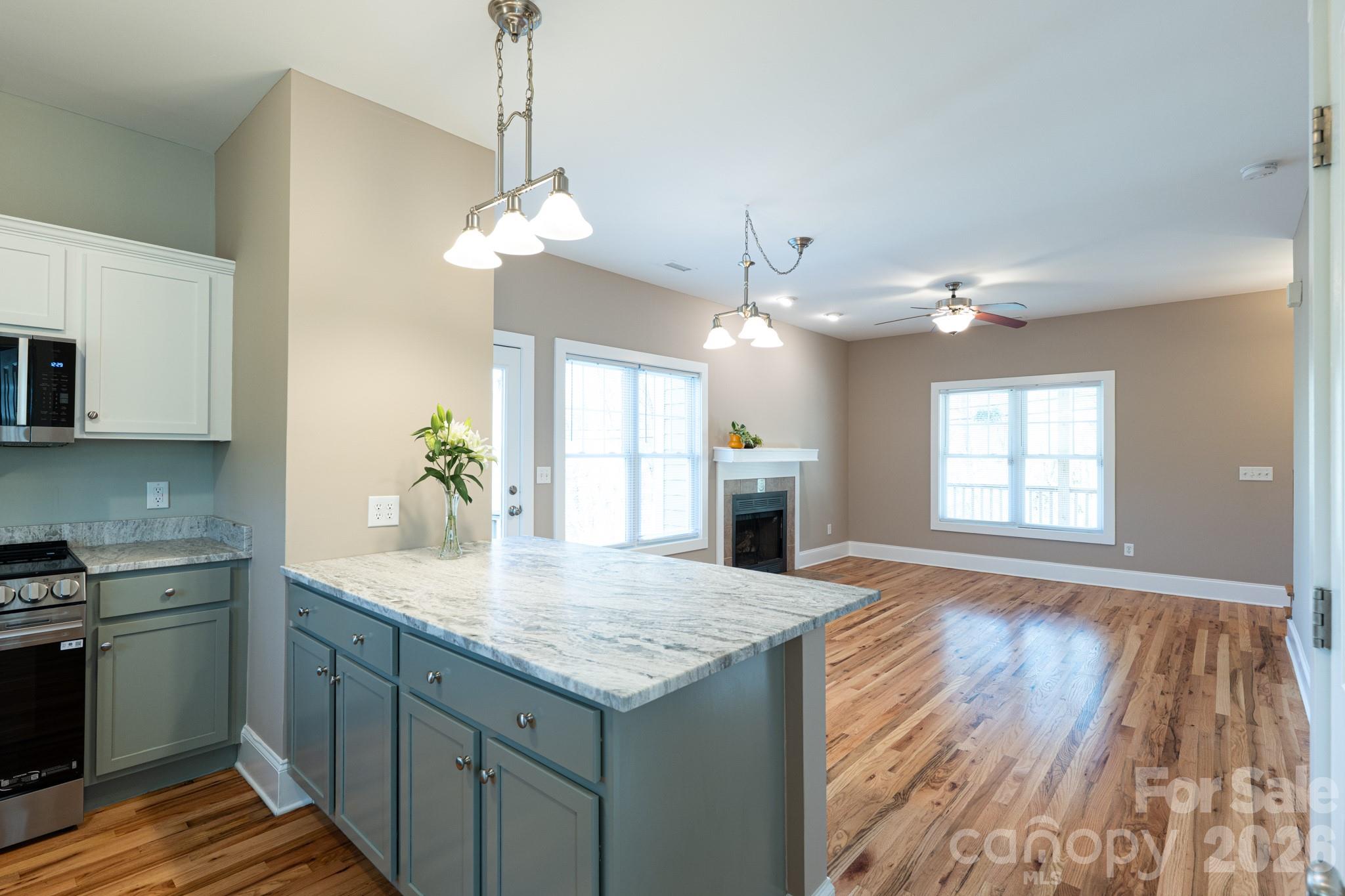 4 Cottage Court — Asheville